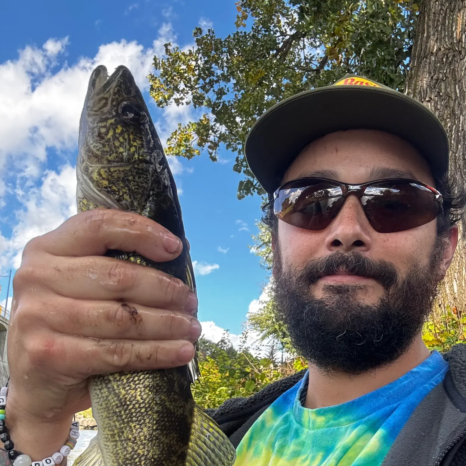 Walleye caught on Fishbrain