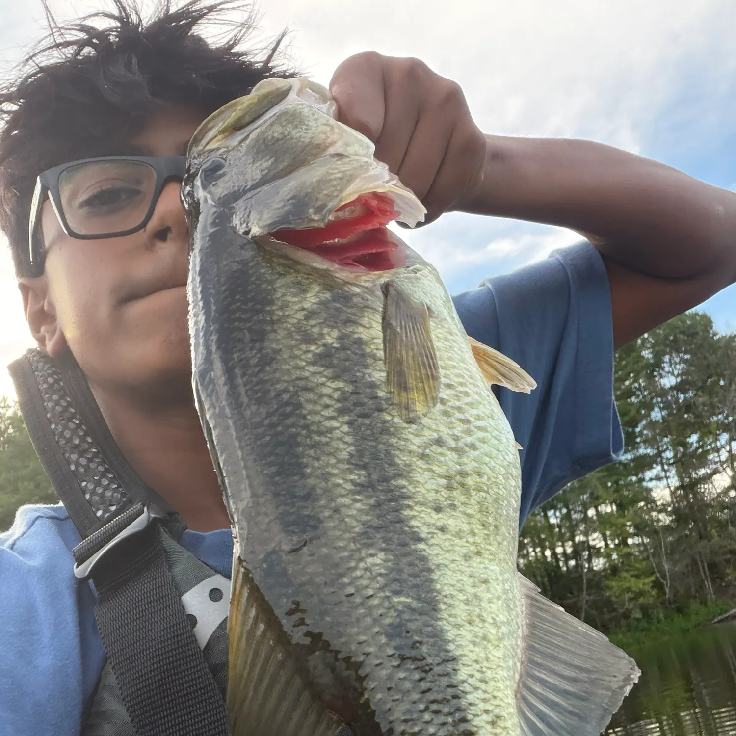 Largemouth bass caught on Fishbrain