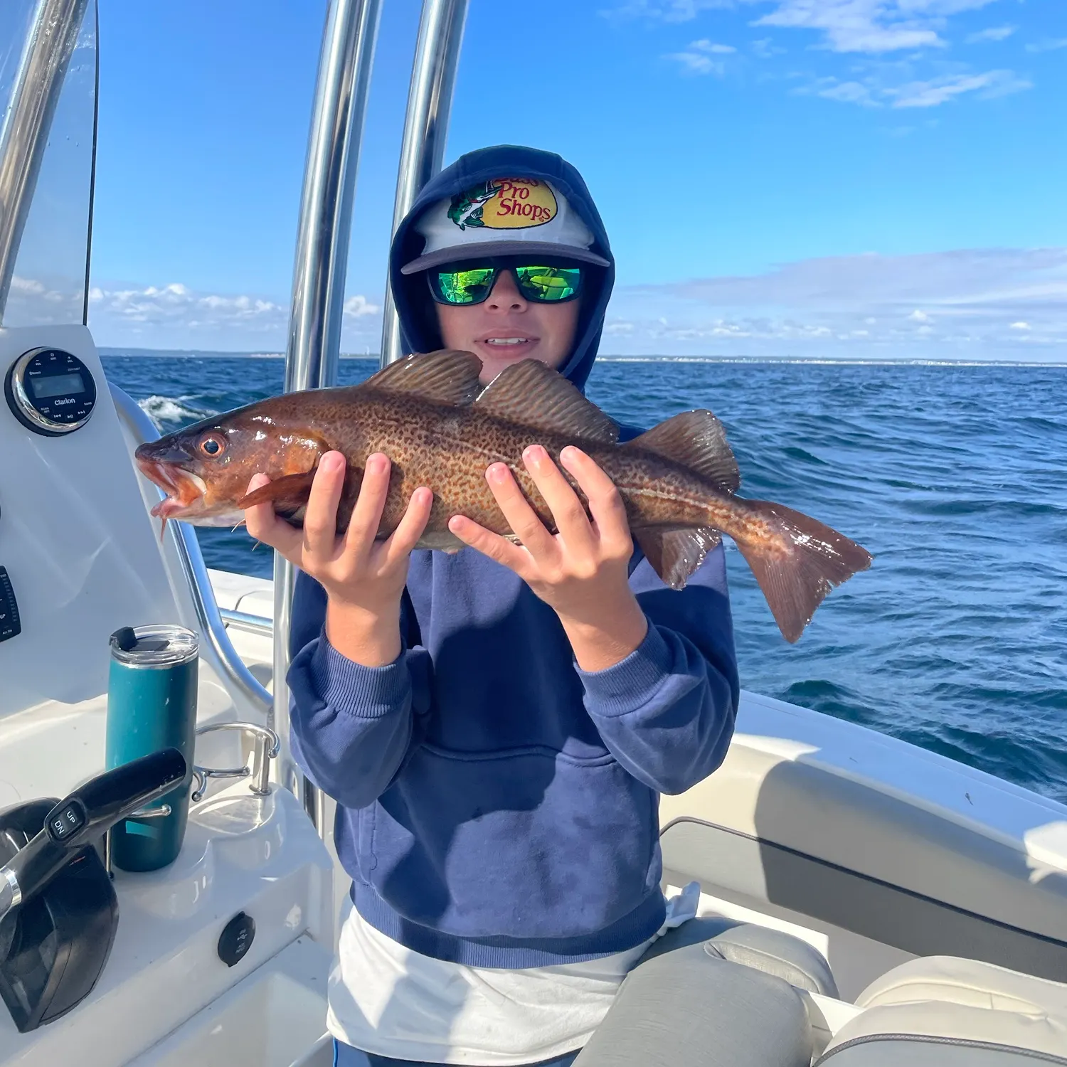 Atlantic cod caught on Fishbrain