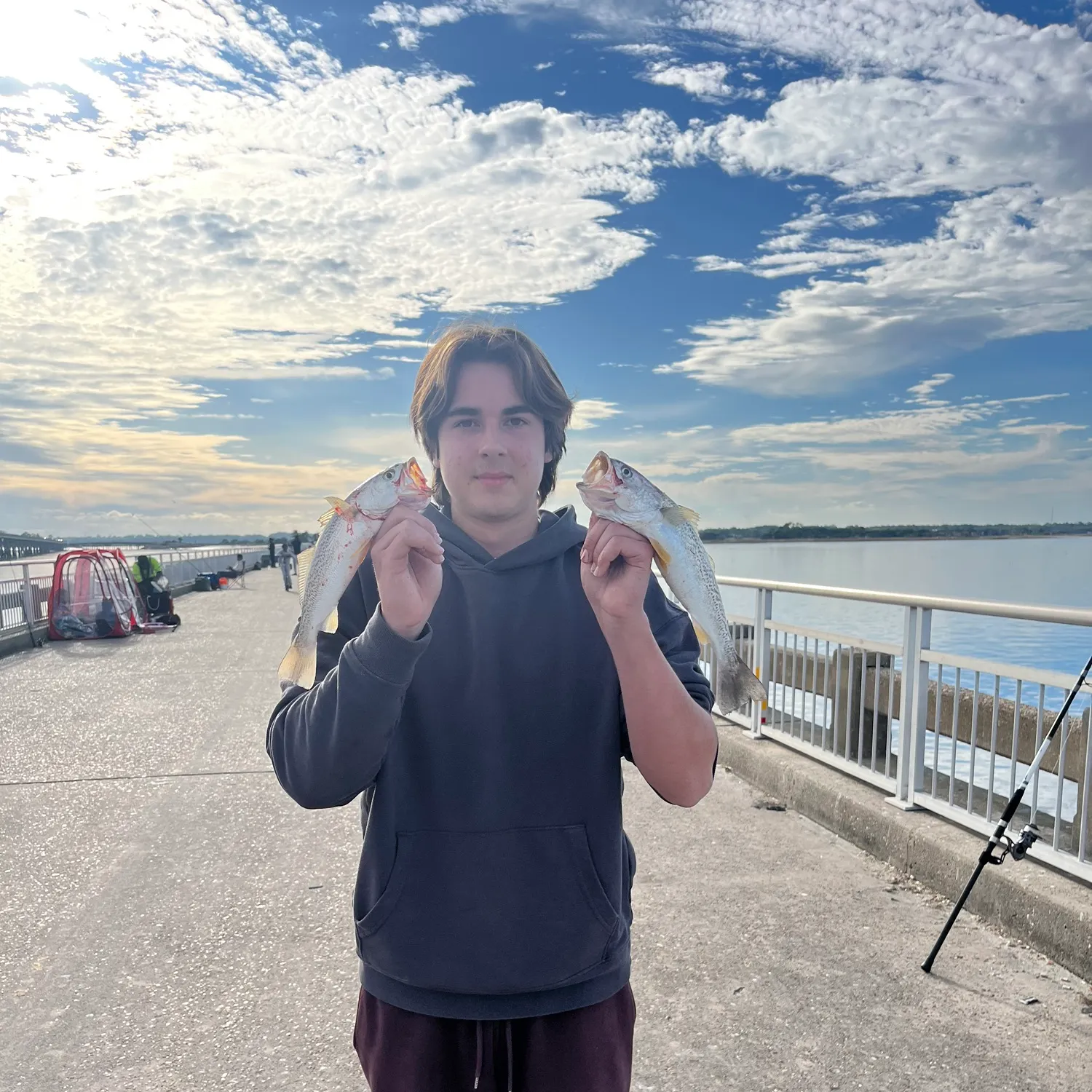 The most recent Gray weakfish catches on Fishbrain