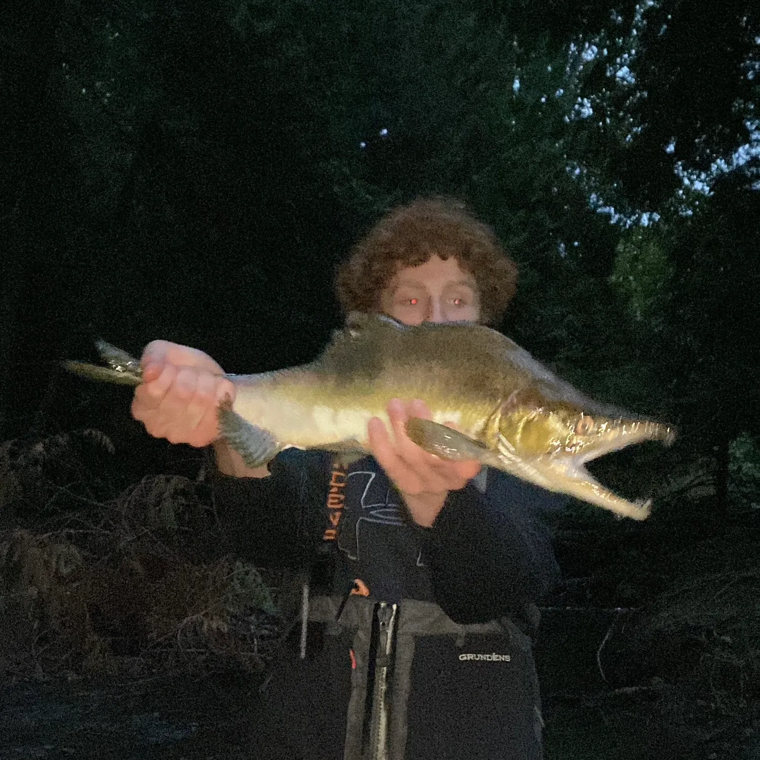 Pink salmon caught on Fishbrain