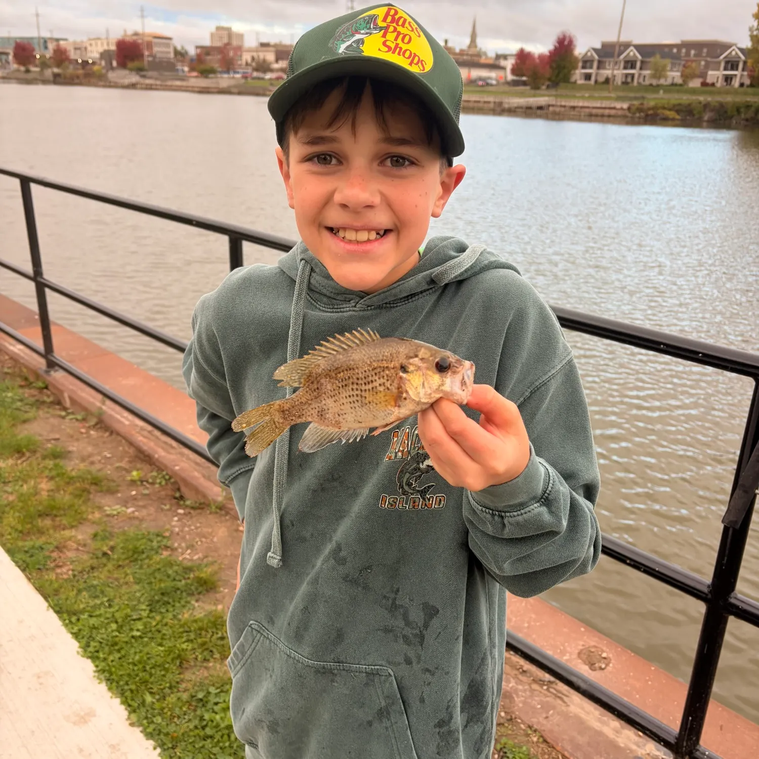 Rock bass caught on Fishbrain