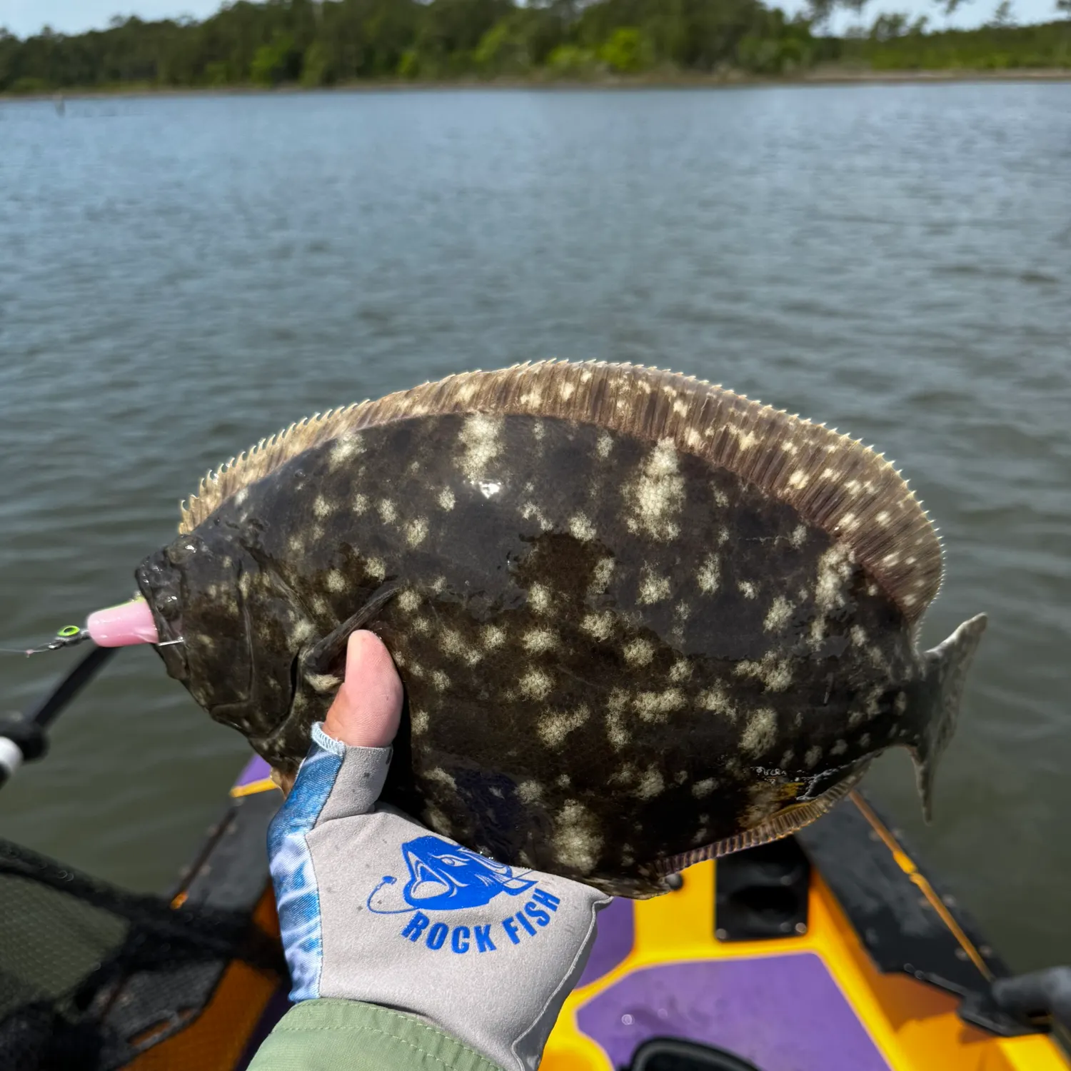 Fish caught on Fishbrain