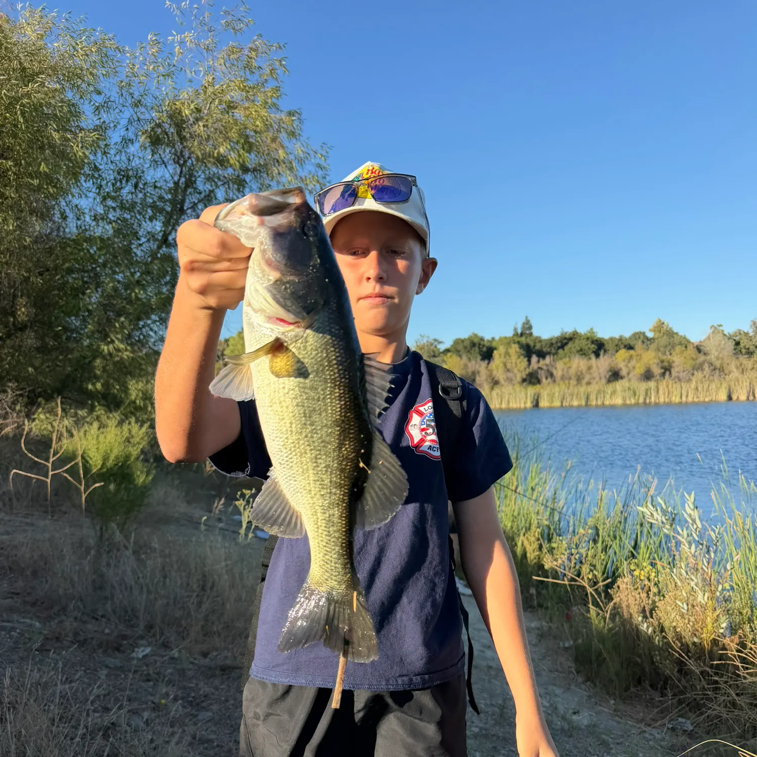 Largemouth bass caught on Fishbrain