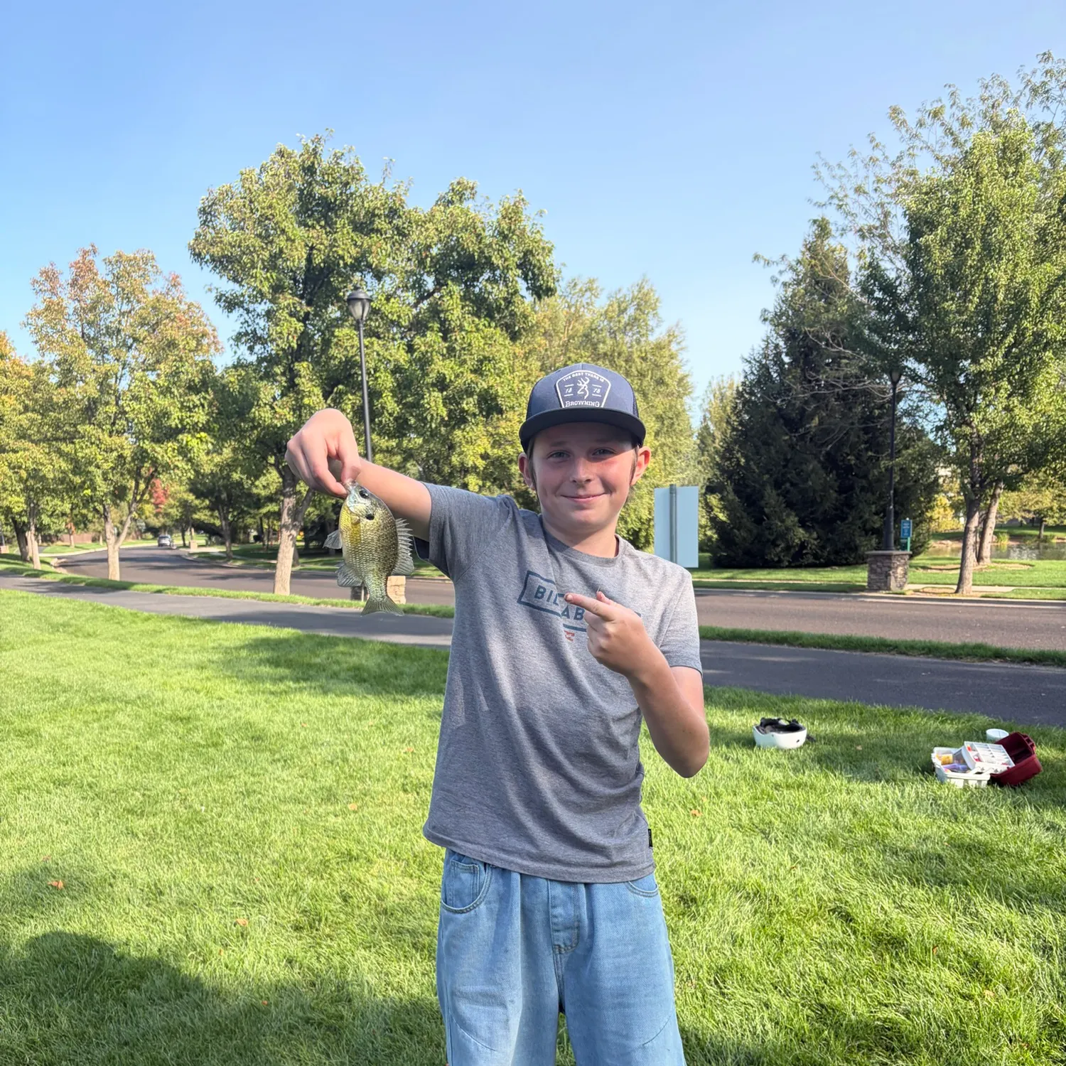 Bluegill caught on Fishbrain
