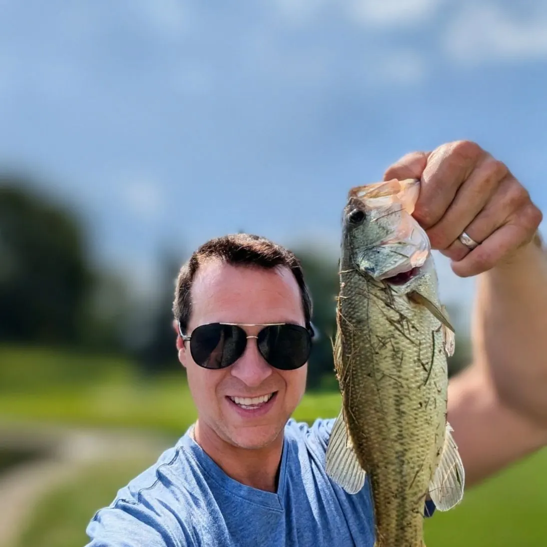 Largemouth bass caught on Fishbrain