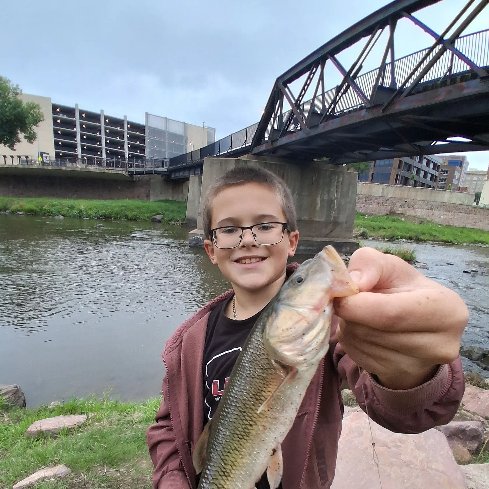 Creek chub caught on Fishbrain