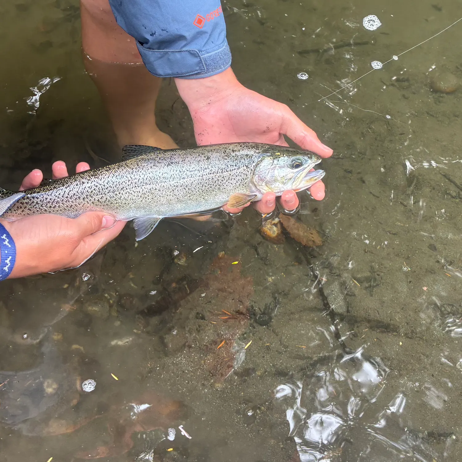 The most recent Coastal cutthroat trout catches on Fishbrain