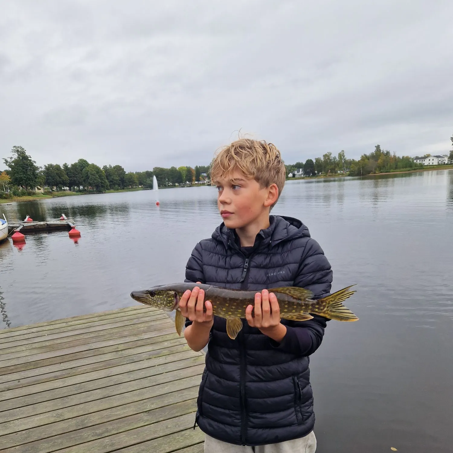 Northern pike caught on Fishbrain
