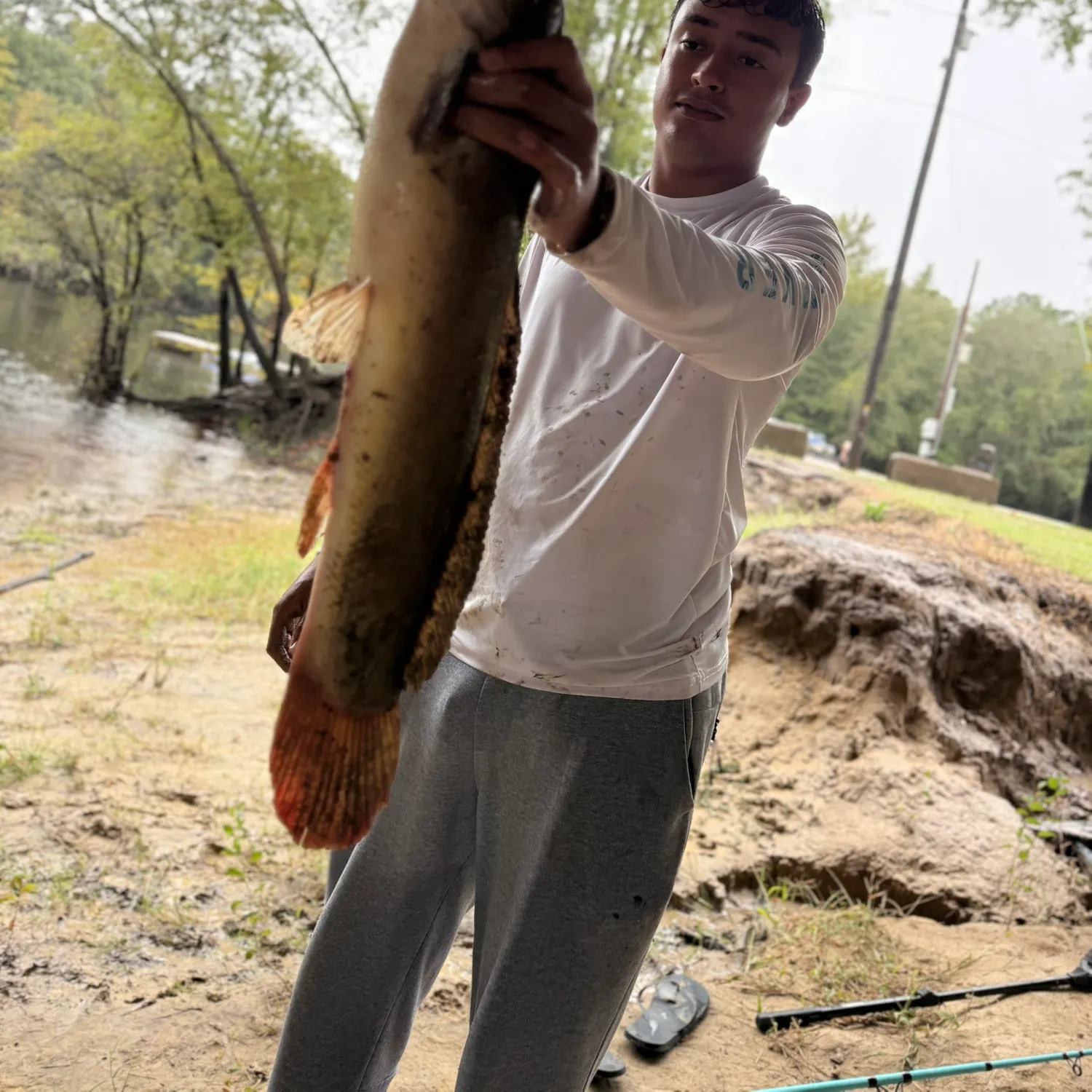 Ruddy bowfin caught on Fishbrain