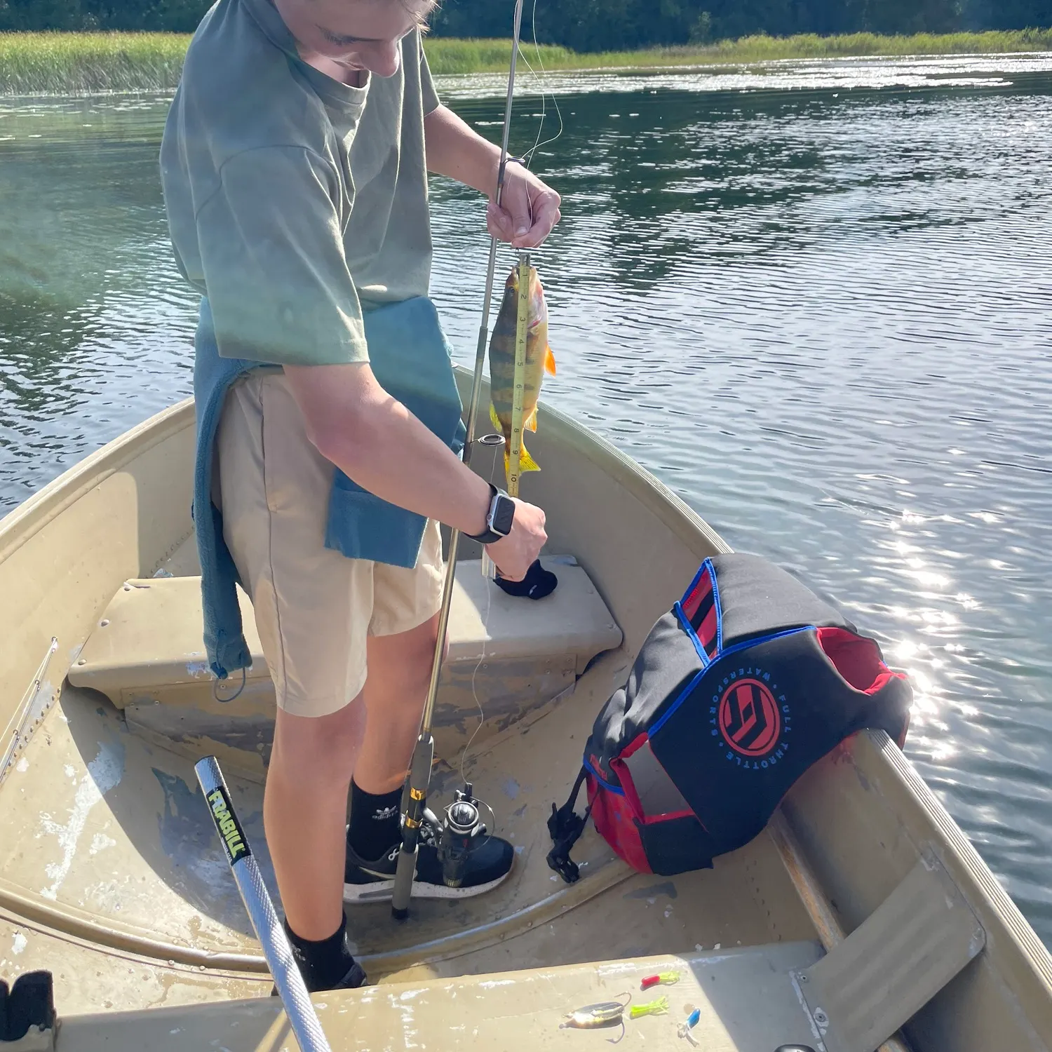 Yellow perch caught on Fishbrain