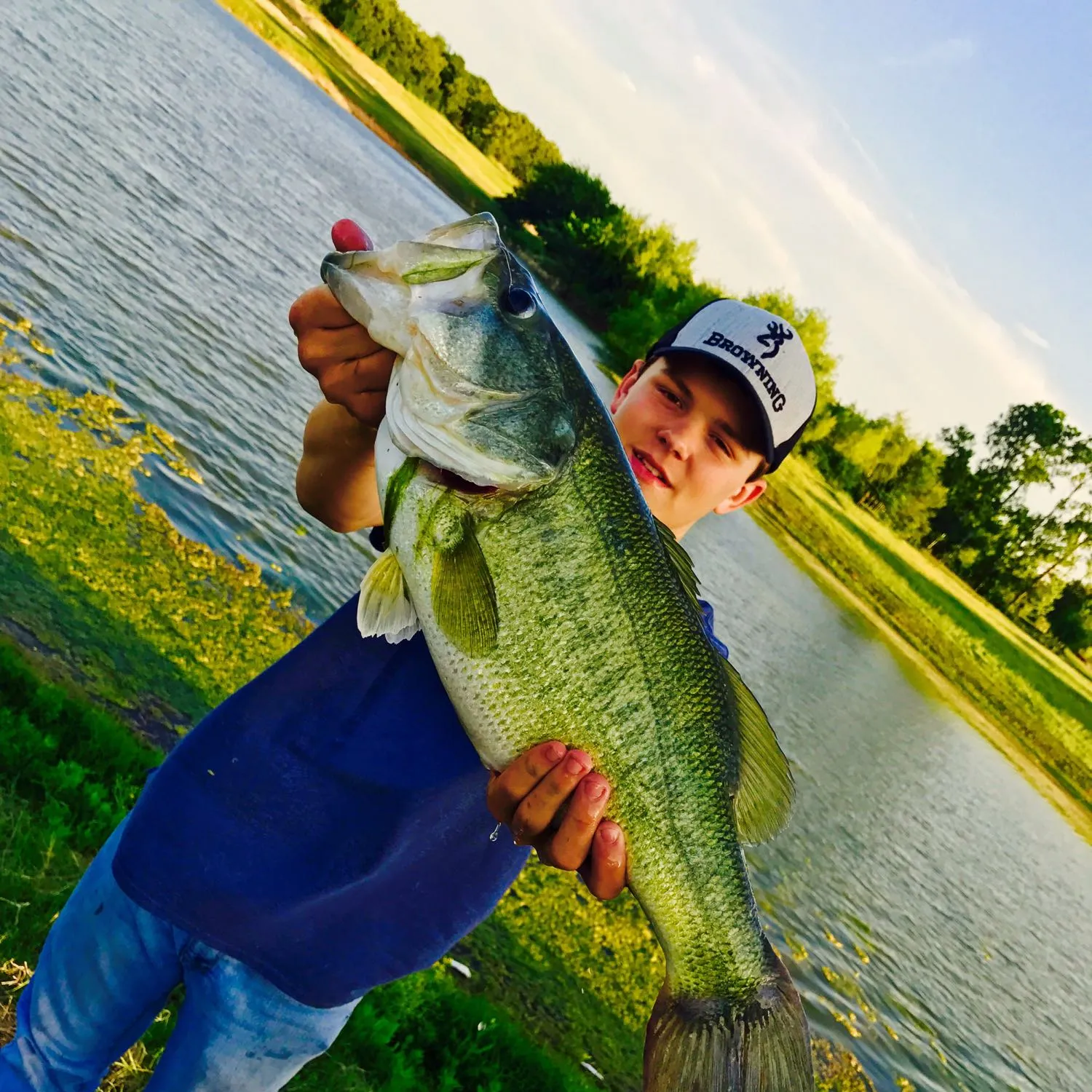 Largemouth bass caught on Fishbrain