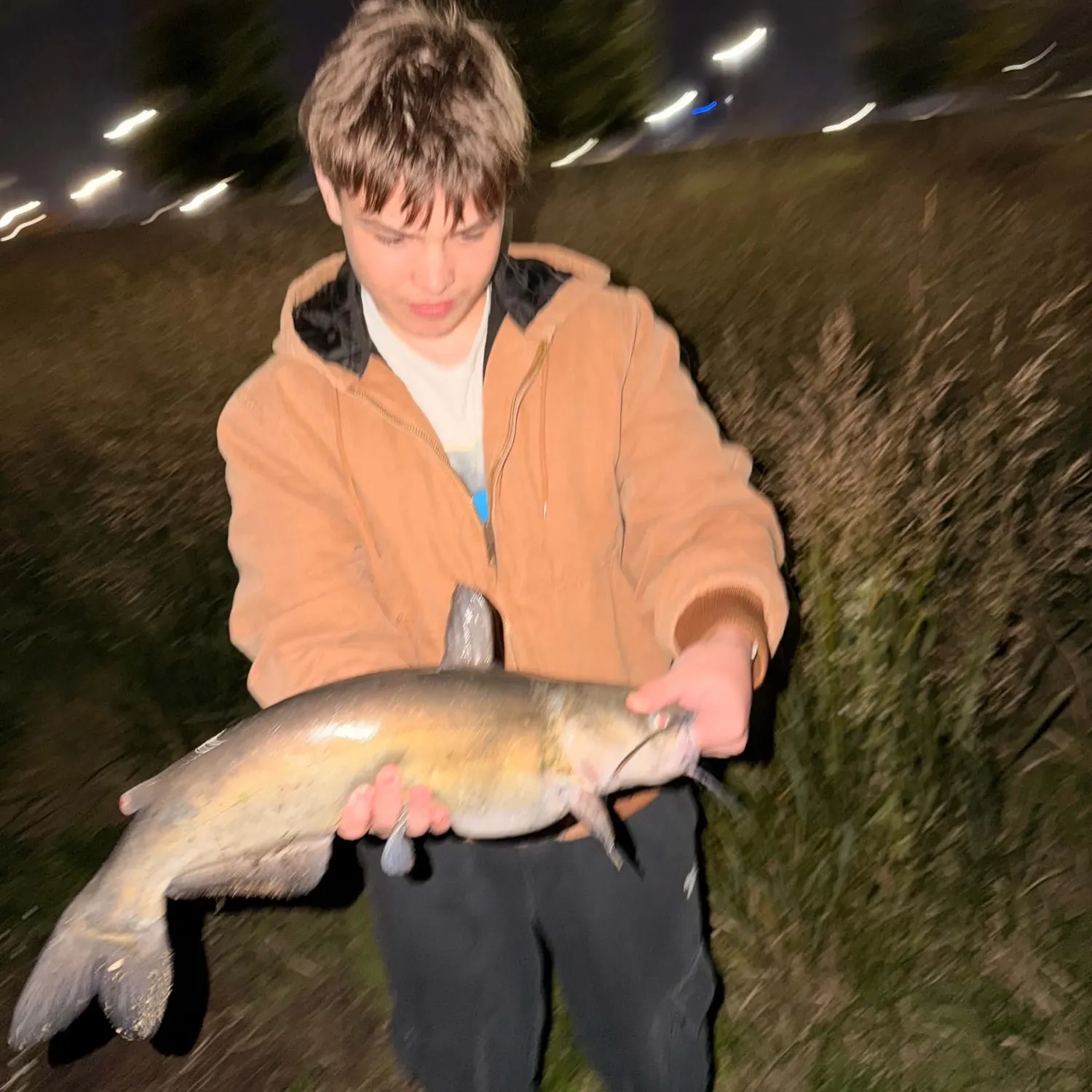 Channel catfish caught on Fishbrain