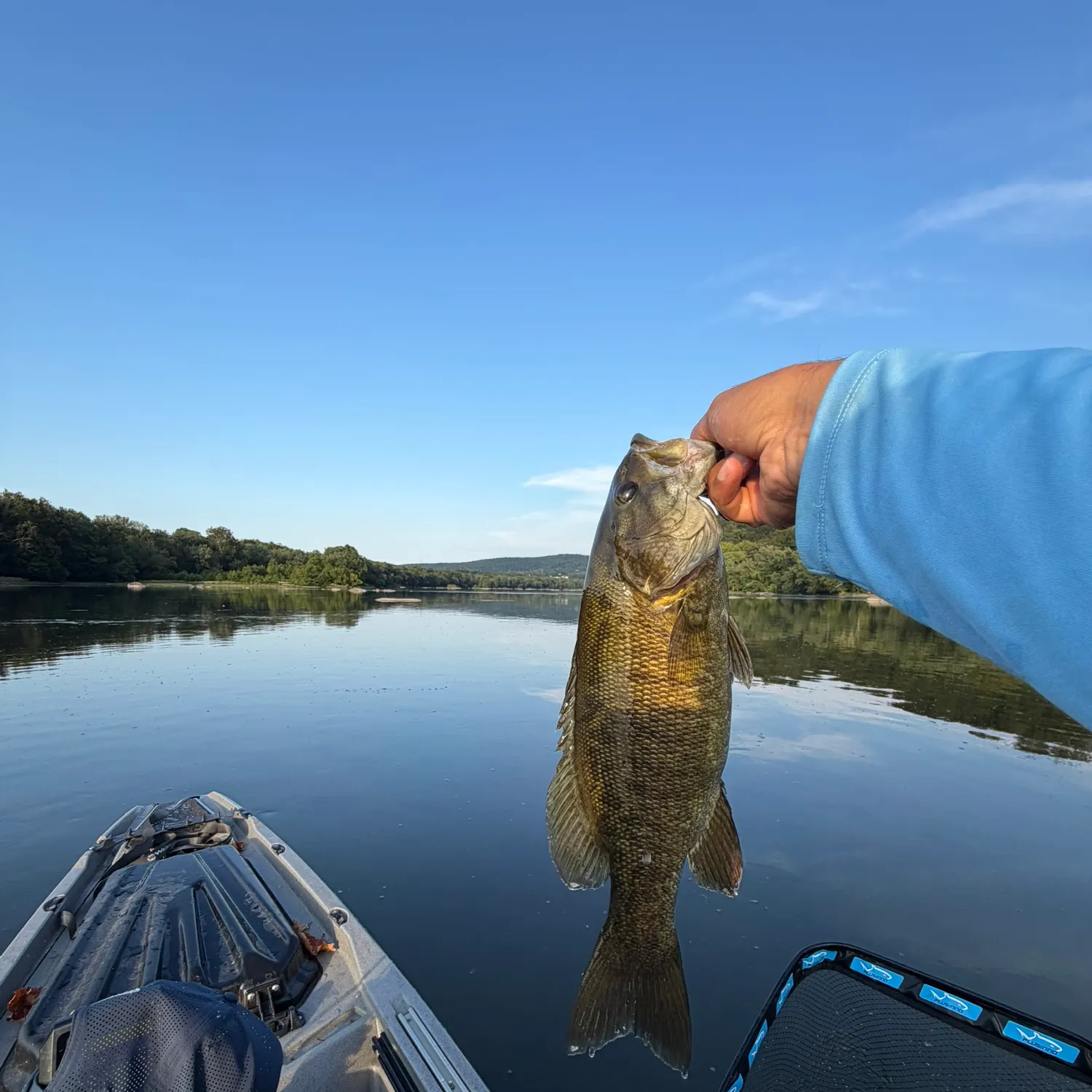 Smallmouth bass caught on Fishbrain