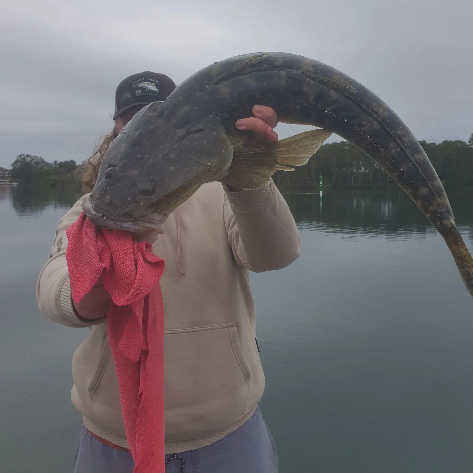 Dusky flathead caught on Fishbrain