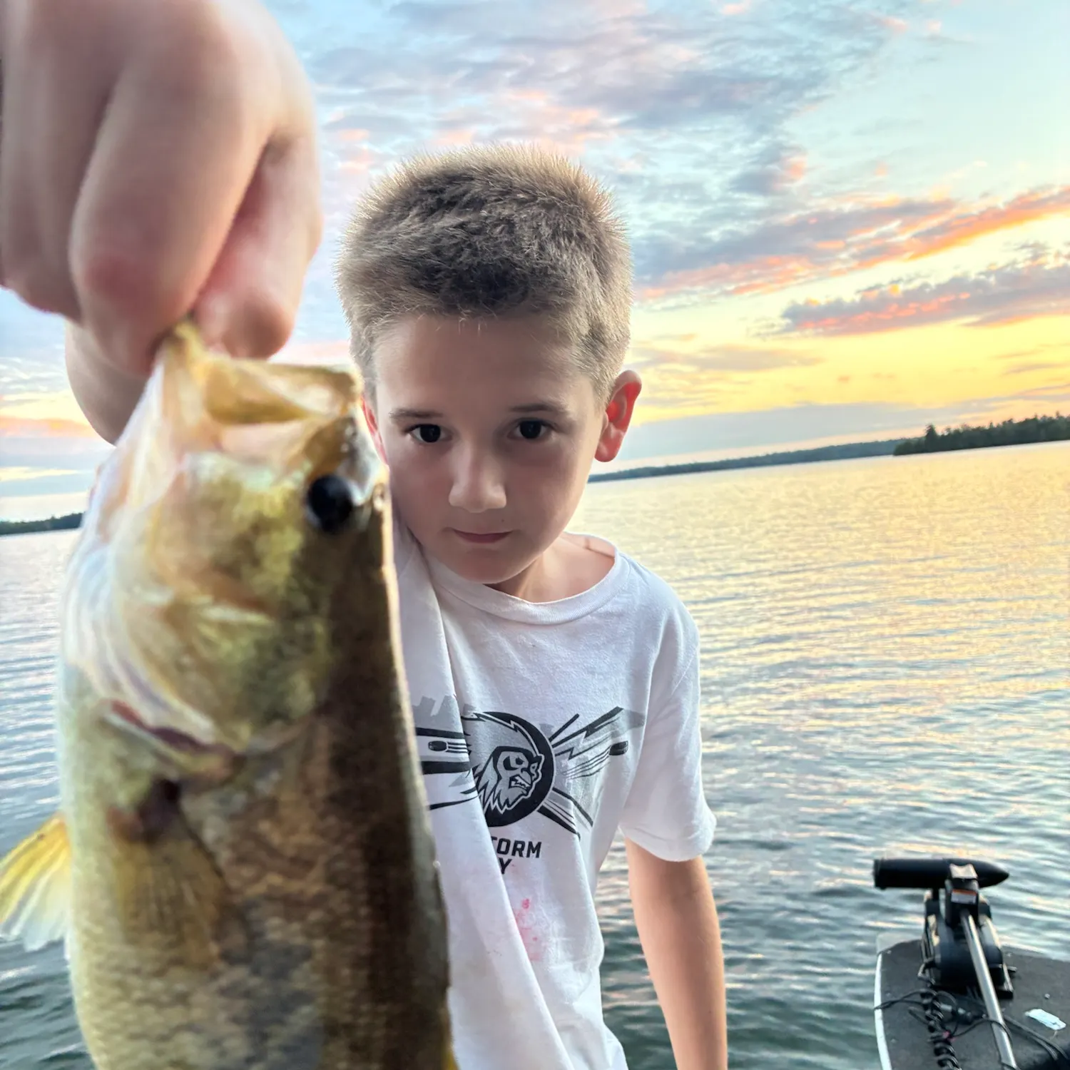 Smallmouth bass caught on Fishbrain