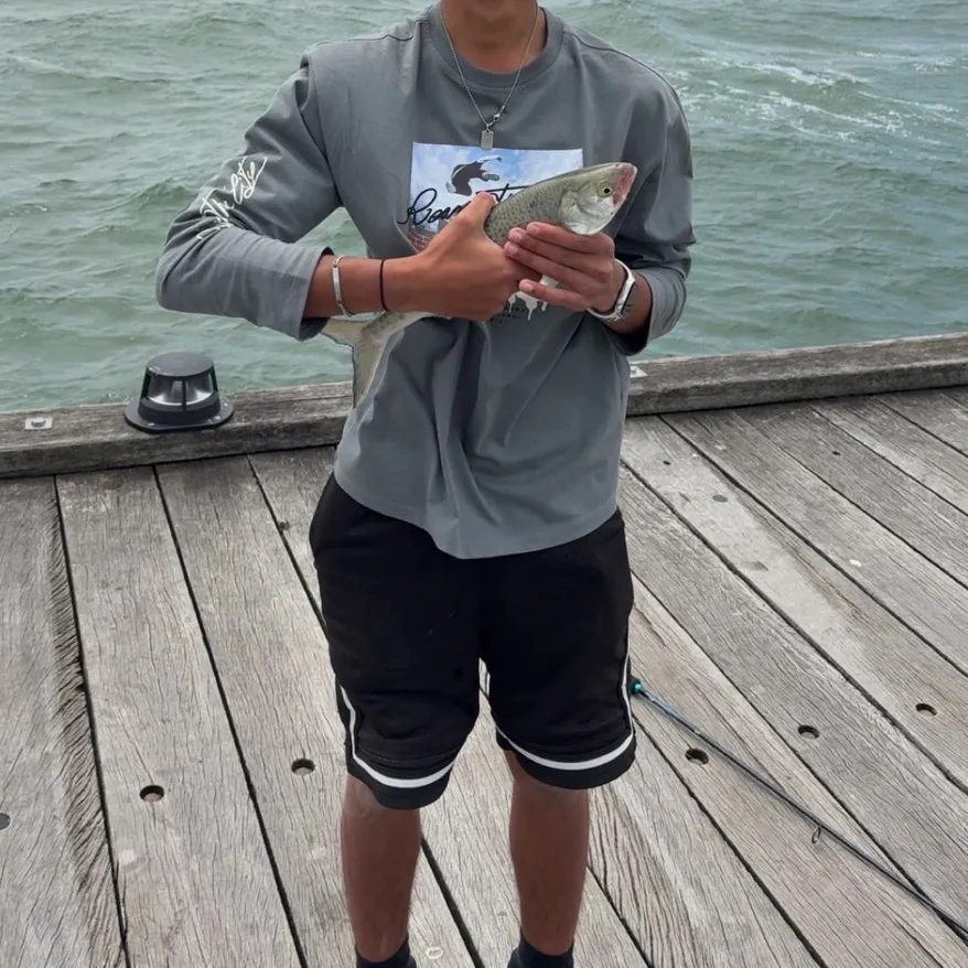 The most recent Eastern Australian salmon catches on Fishbrain