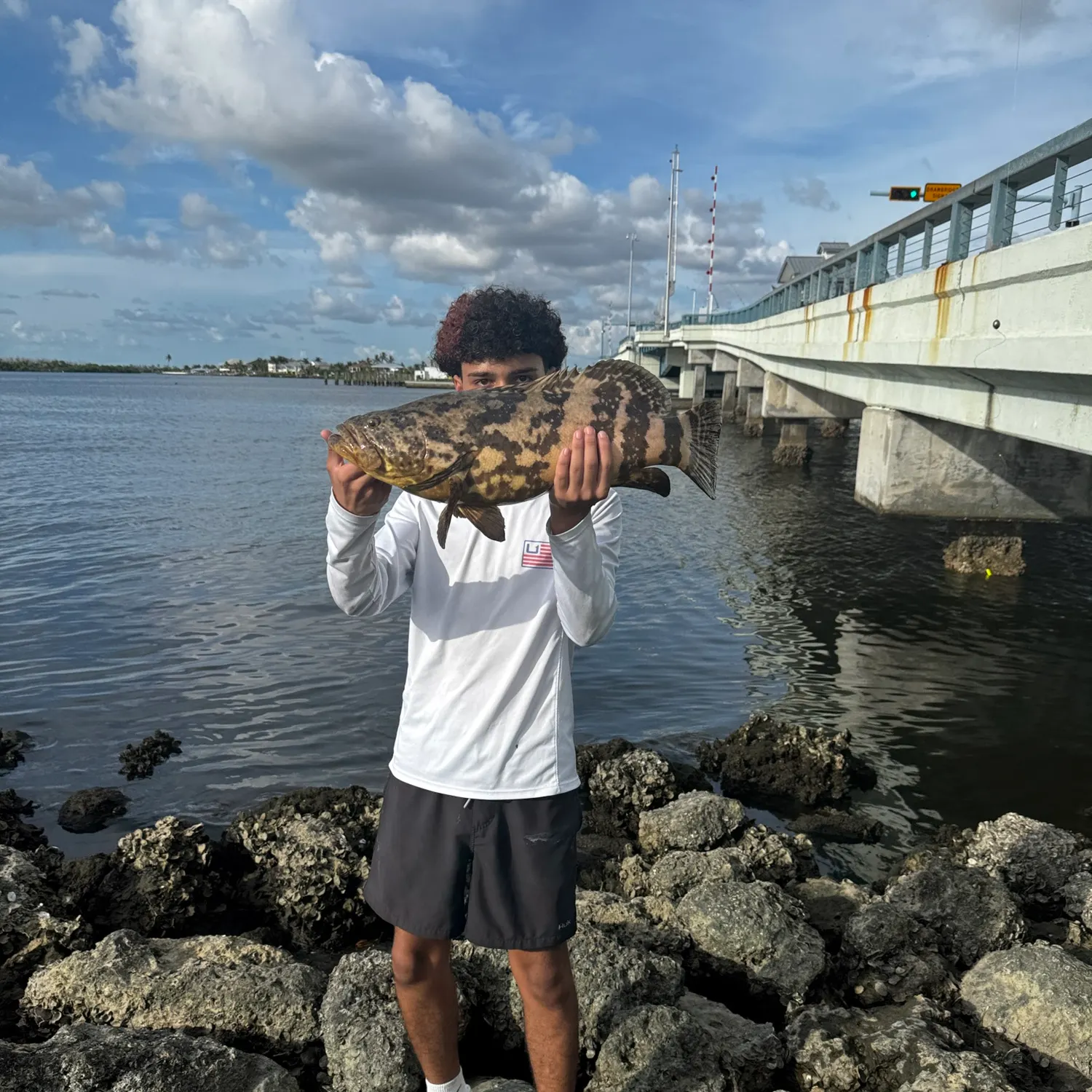 Atlantic goliath grouper caught on Fishbrain
