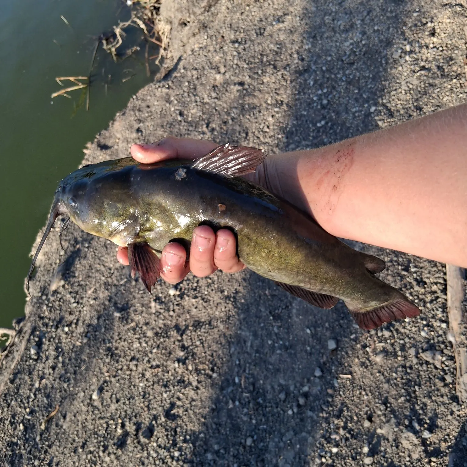 catch