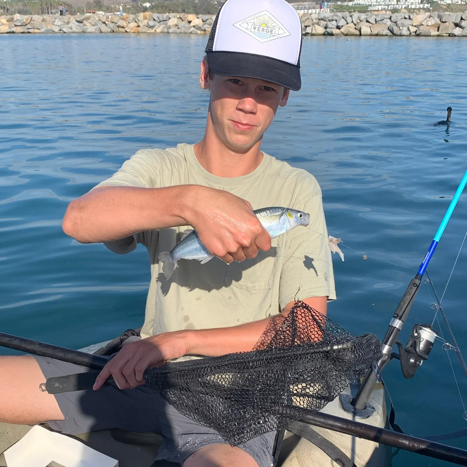 The most recent Jack smelt catches on Fishbrain