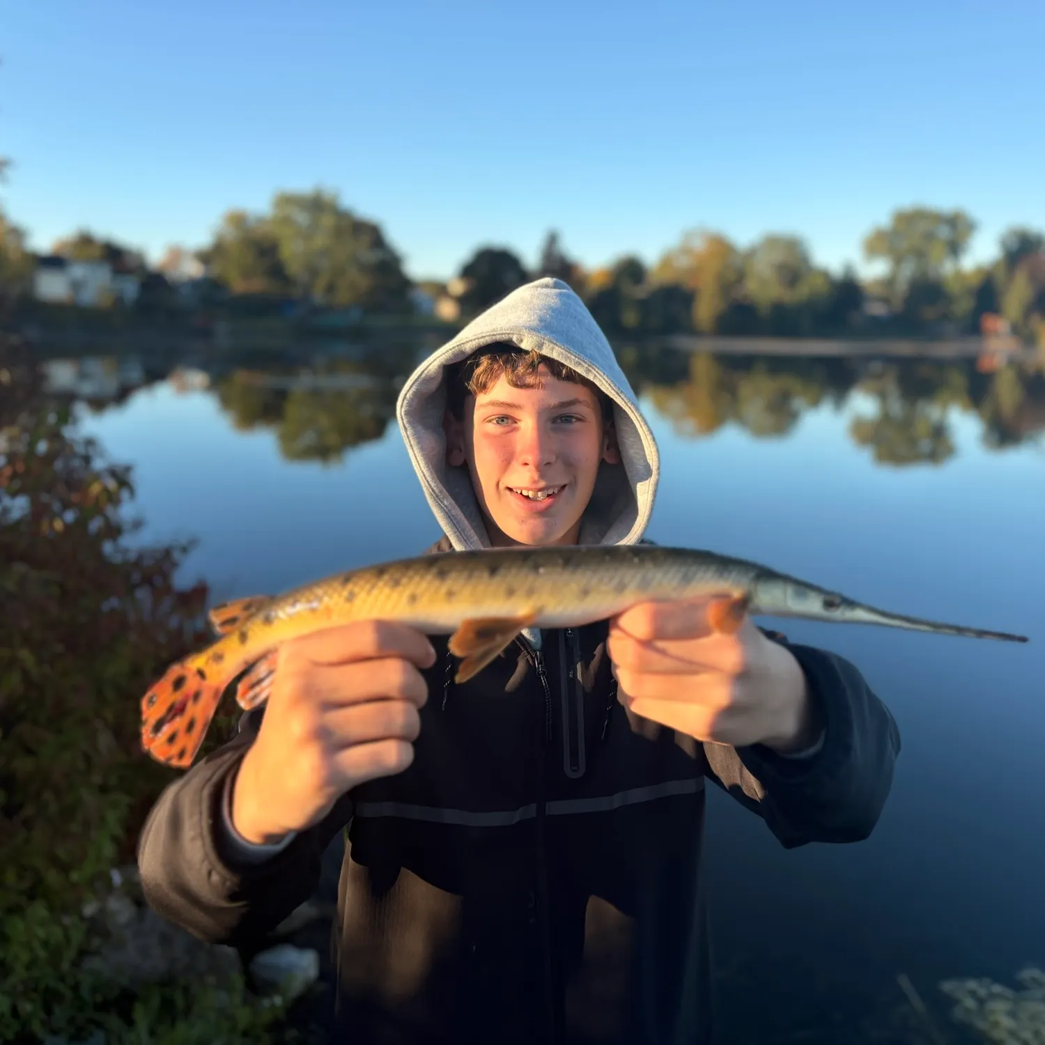 The most recent Longnose gar catches on Fishbrain