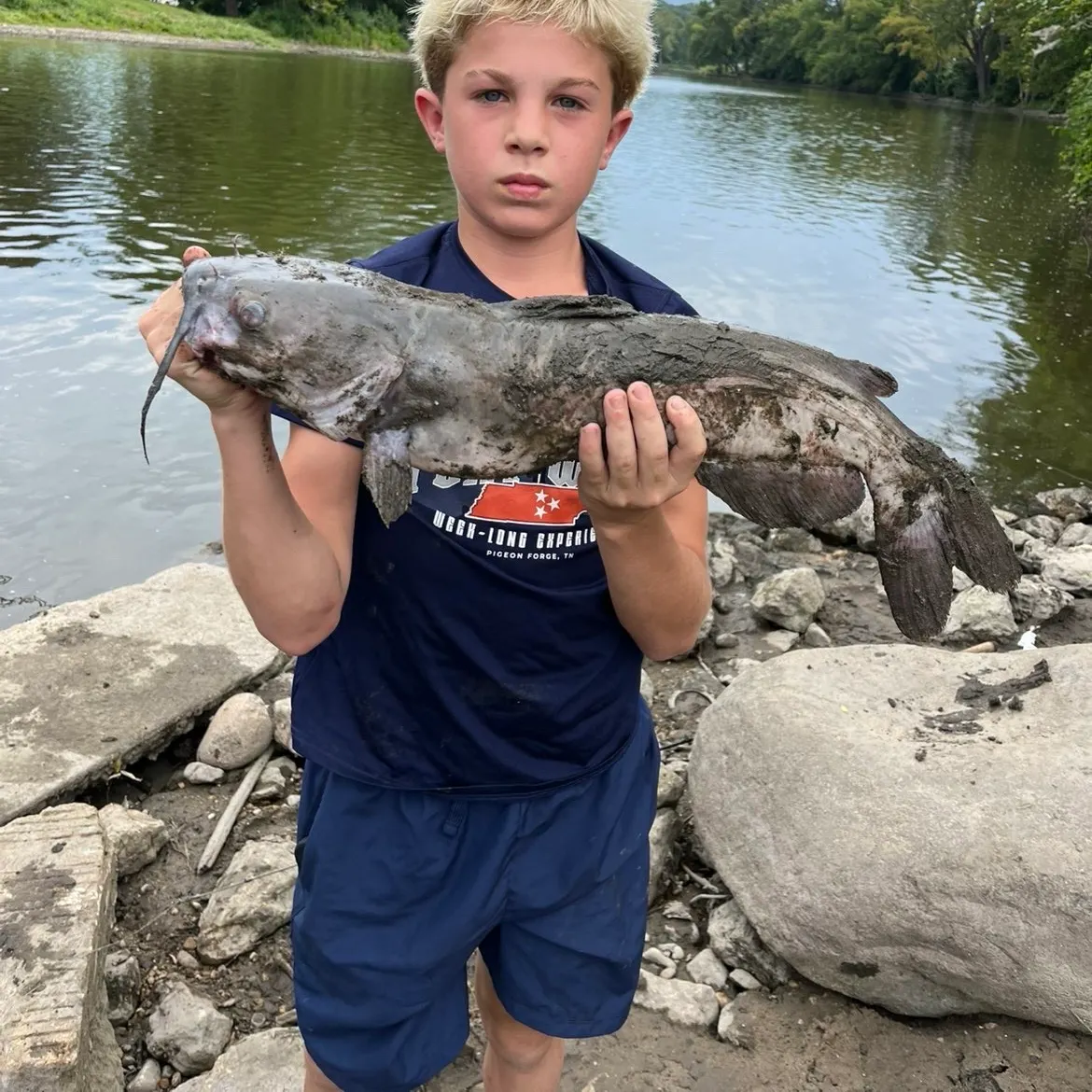 Channel catfish caught on Fishbrain