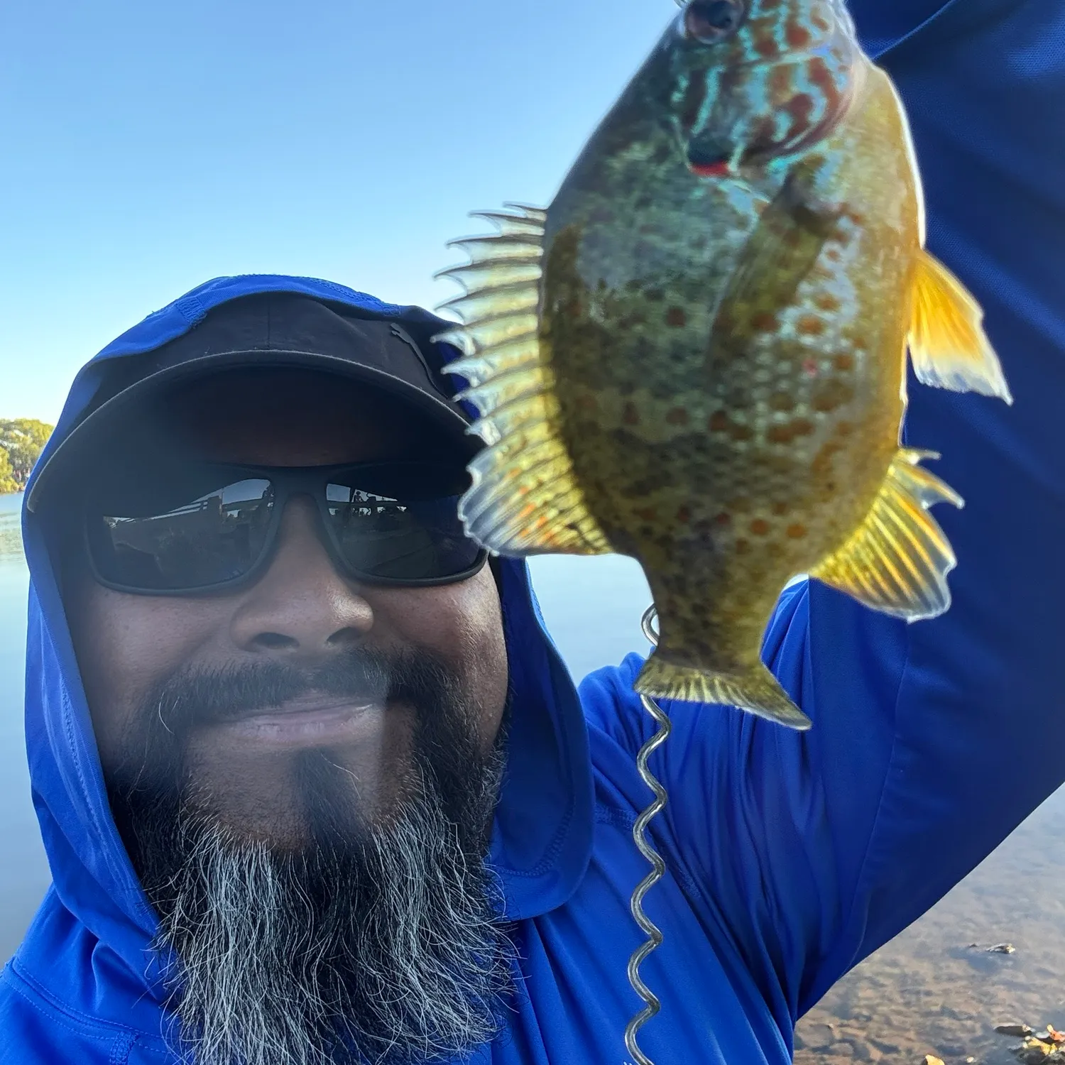 The most recent Pumpkinseed x green sunfish catches on Fishbrain