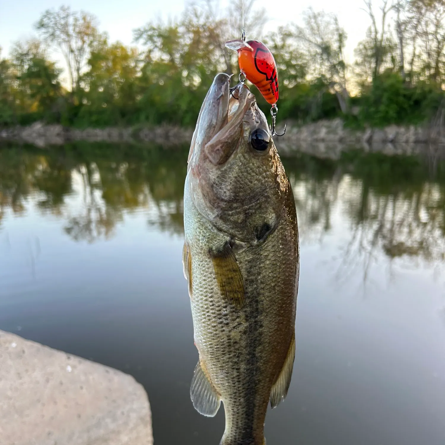 angler catch