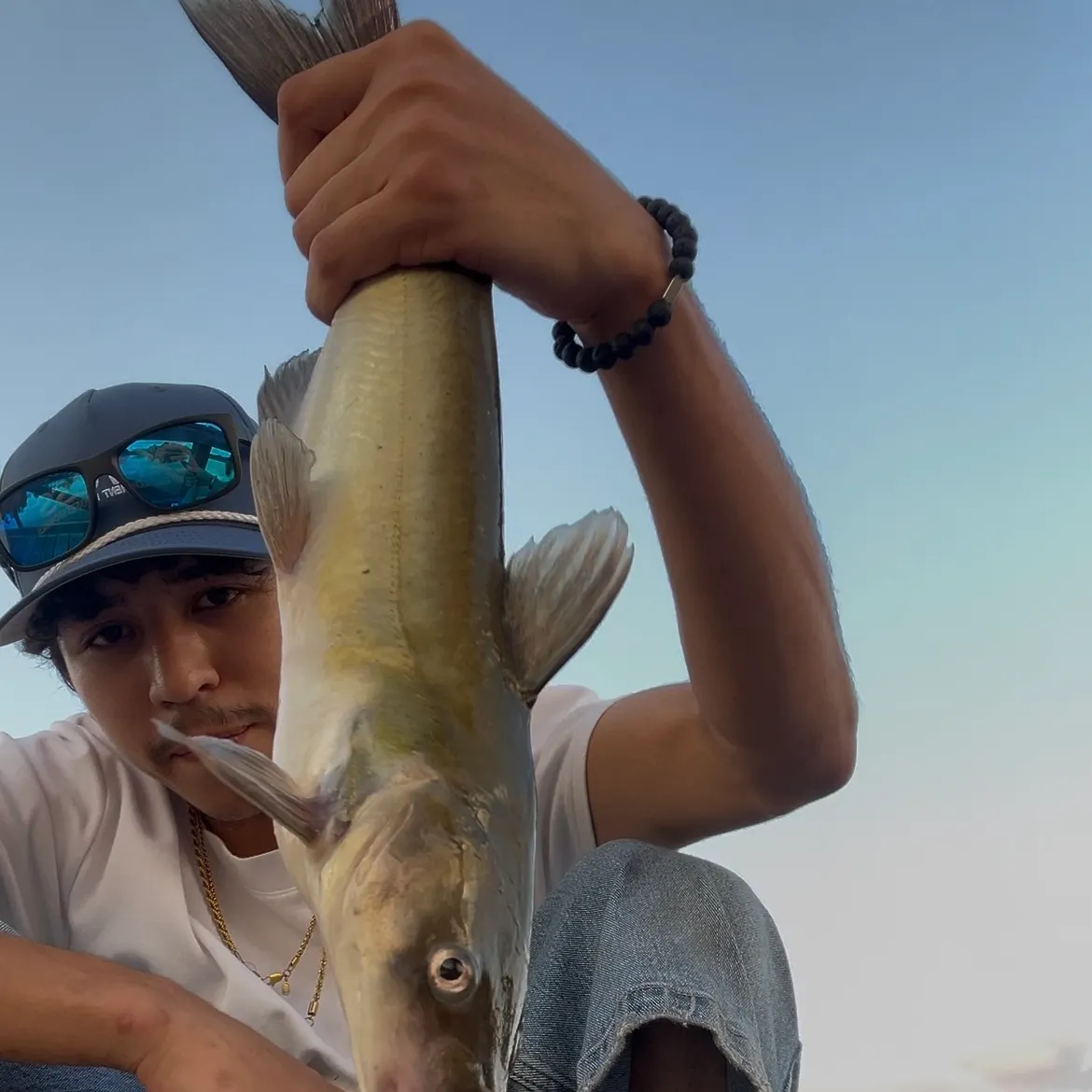 Channel catfish caught on Fishbrain