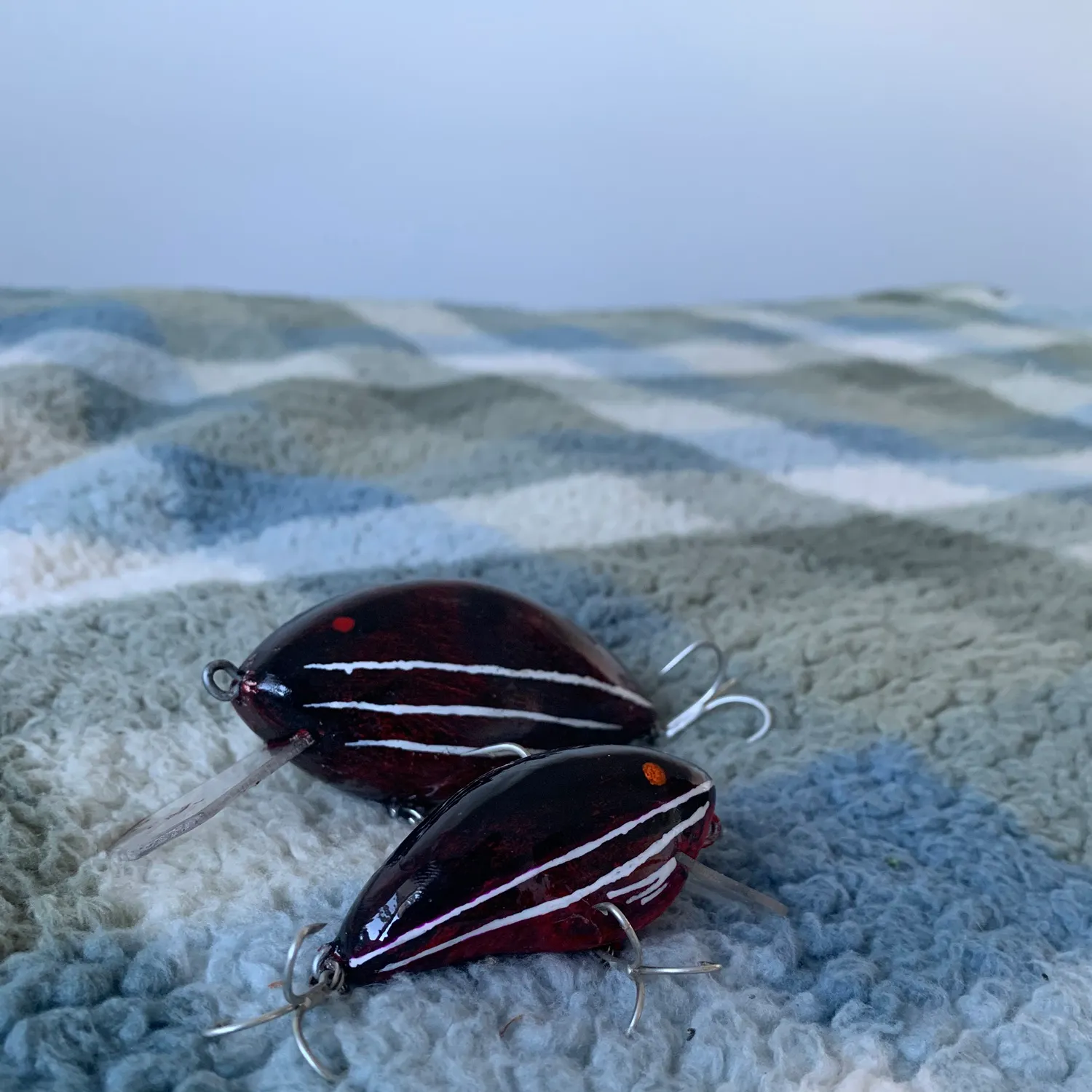 The most recent Murray cod catches on Fishbrain