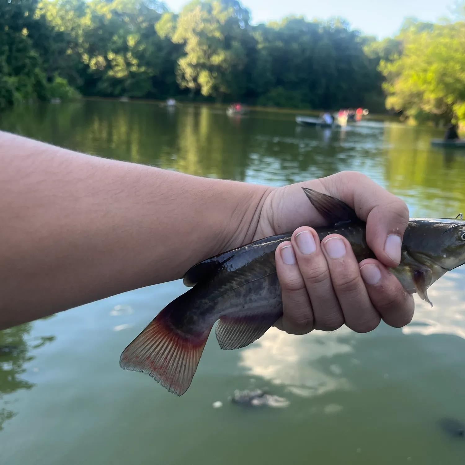 catch