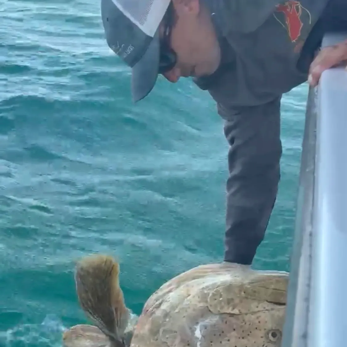 Gag grouper caught on Fishbrain