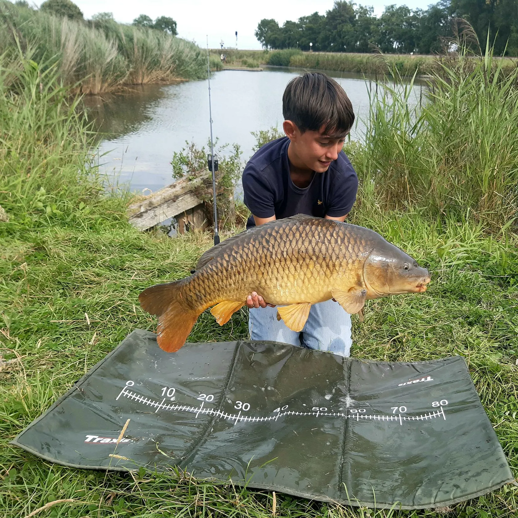 Common carp caught on Fishbrain