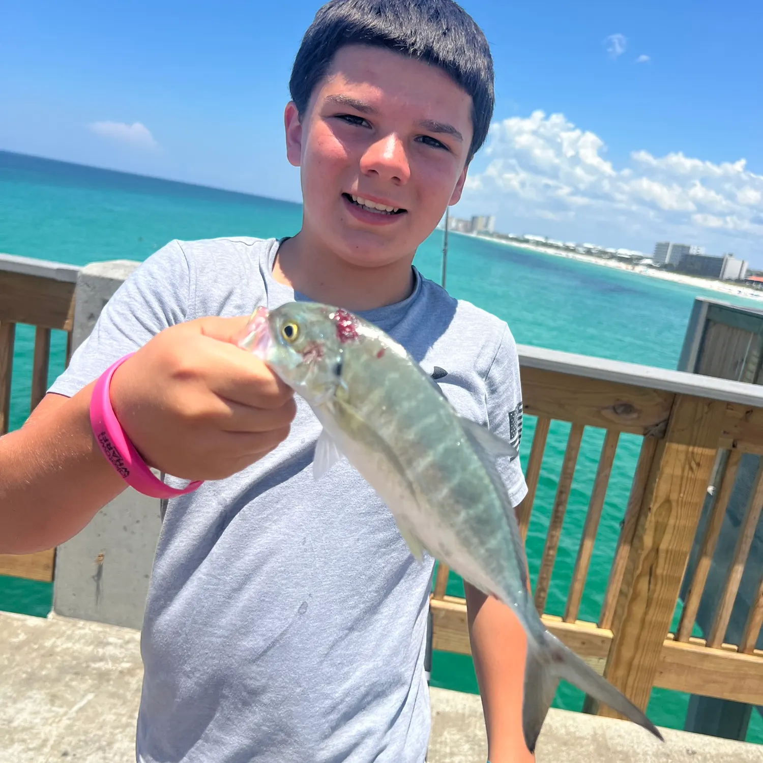 The most recent Blue runner catches on Fishbrain