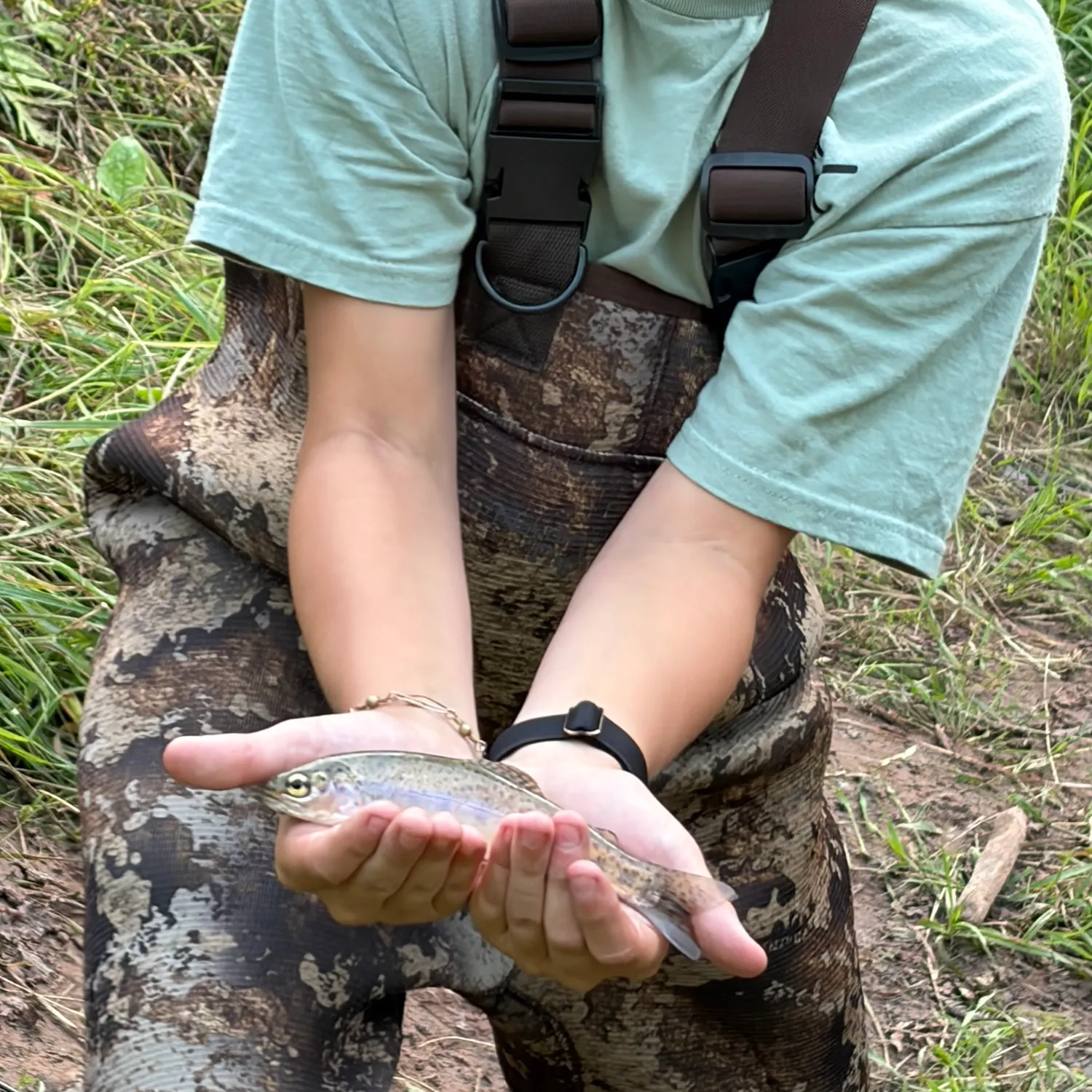 Rainbow trout caught on Fishbrain