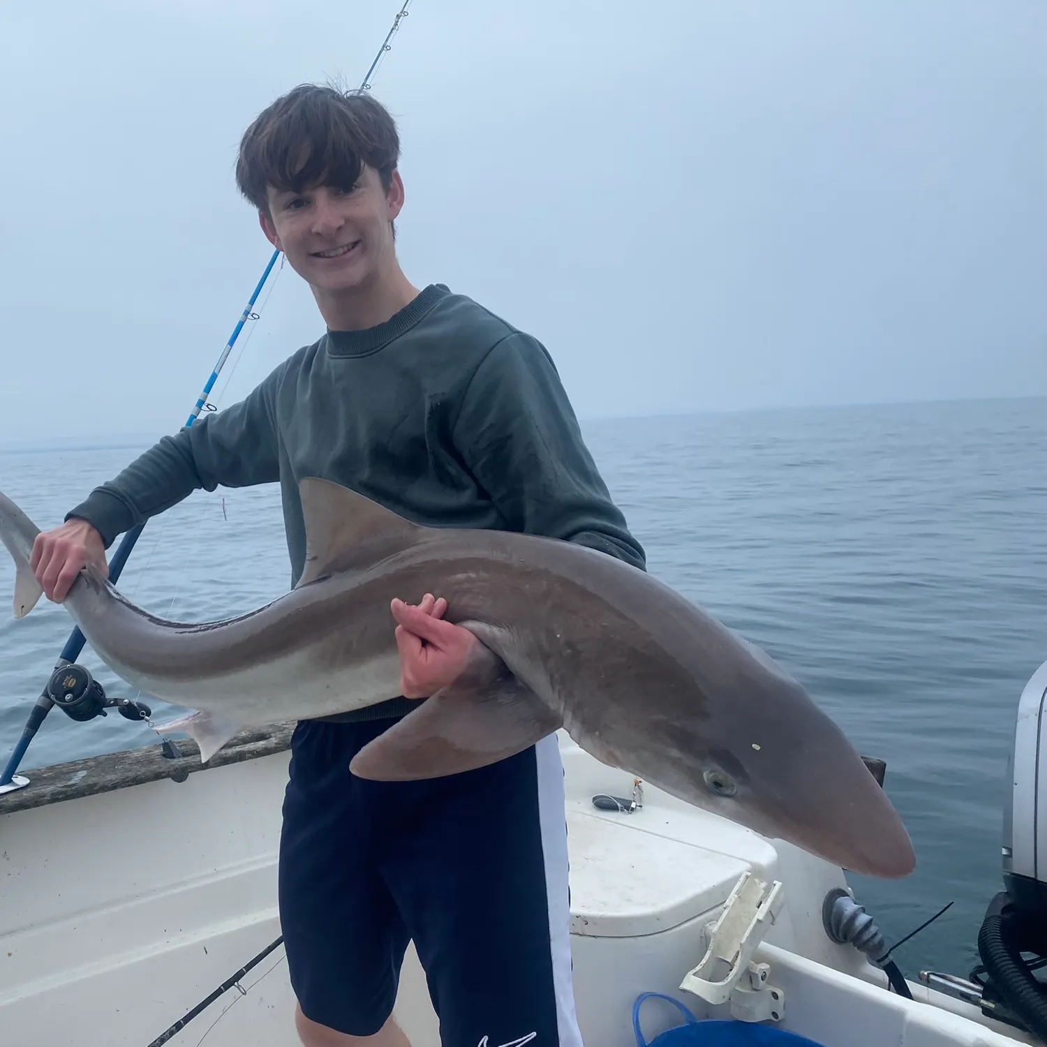 The most recent Tope shark catches on Fishbrain