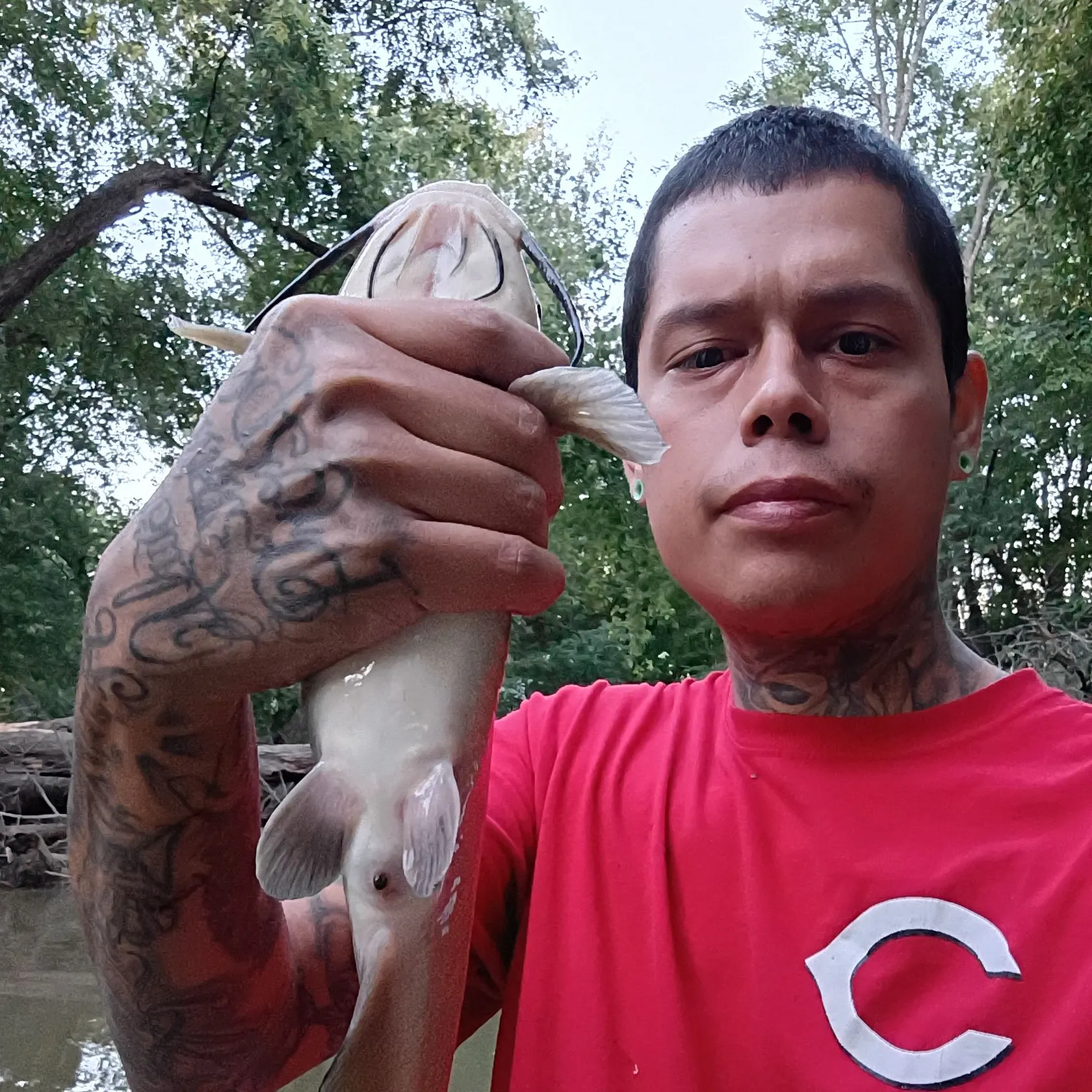 Channel catfish caught on Fishbrain