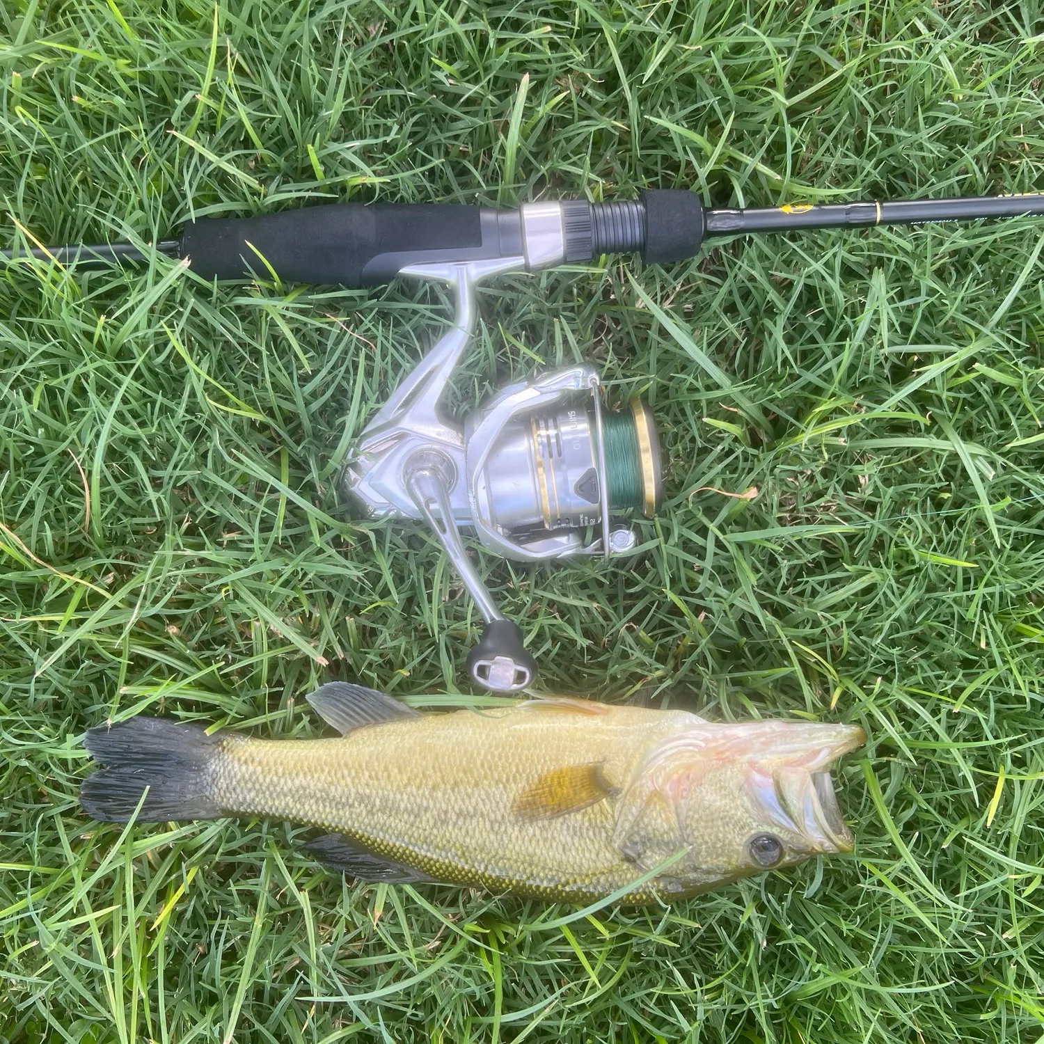 Fish caught on Fishbrain