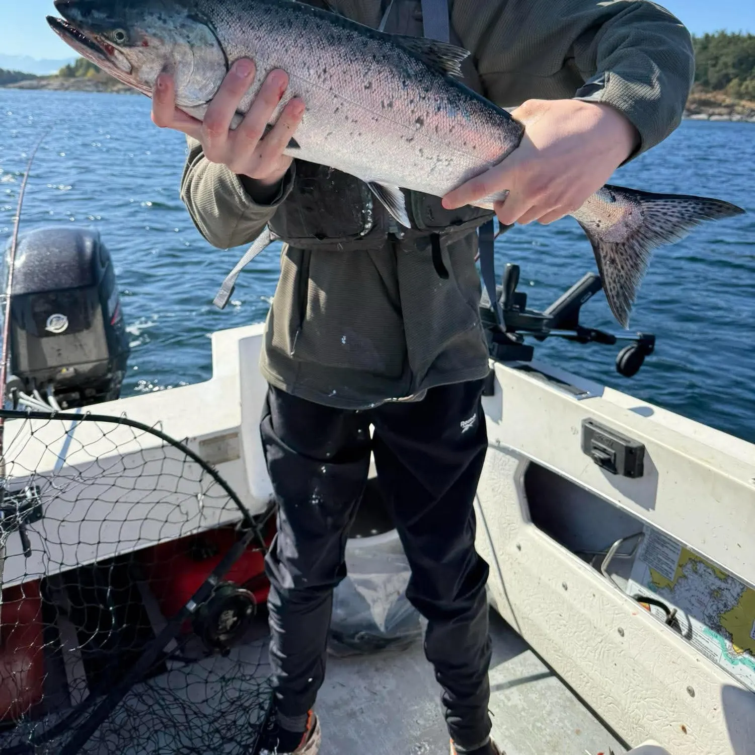 Chinook salmon caught on Fishbrain