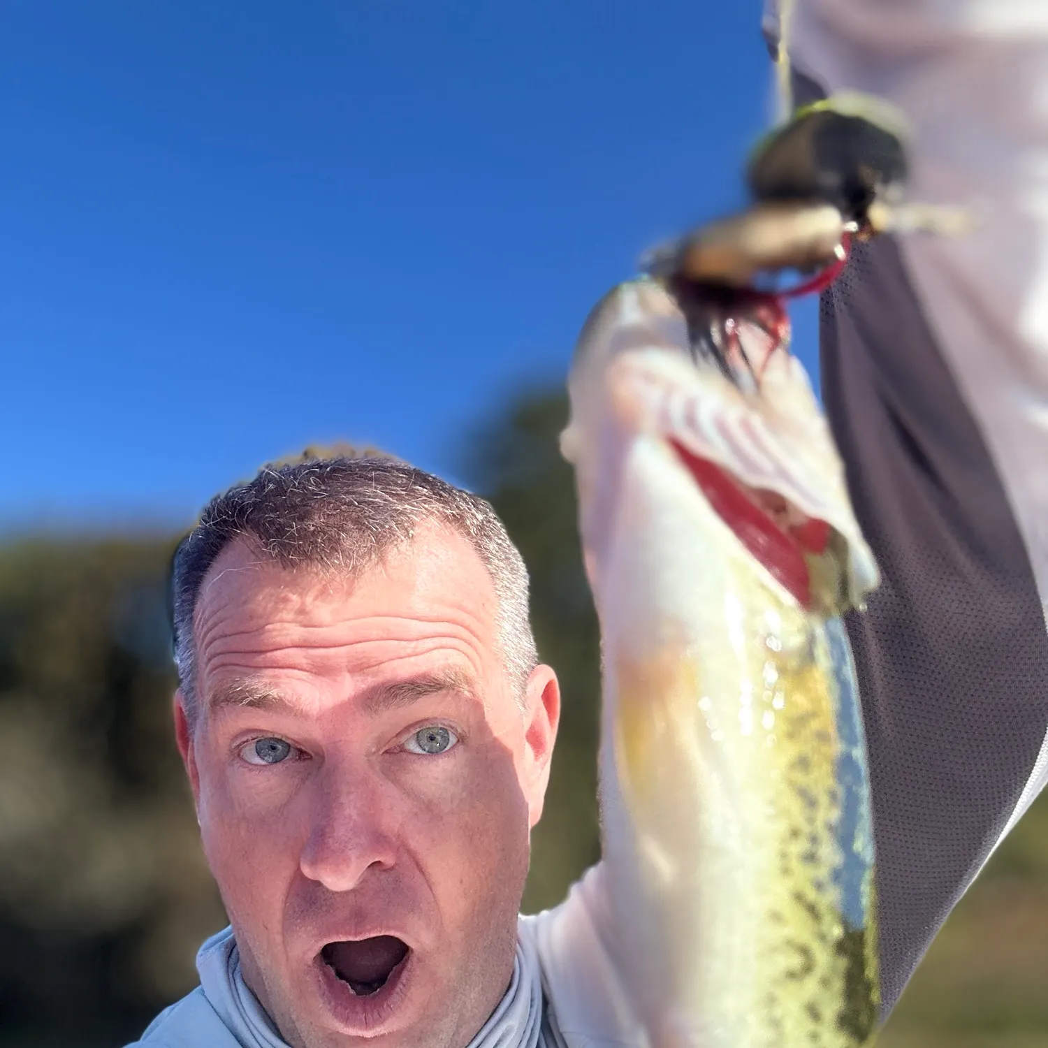 Black crappie caught on Fishbrain