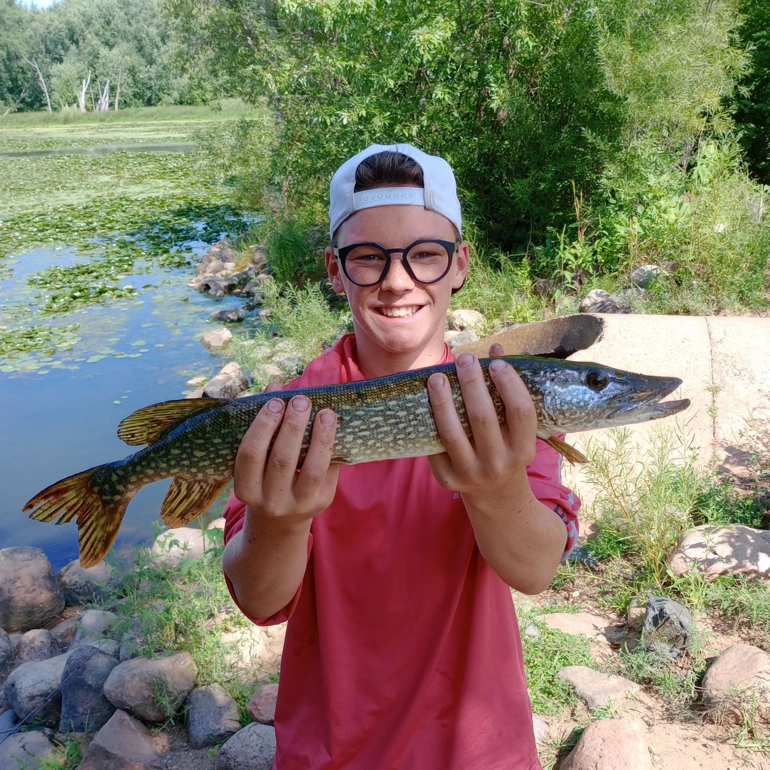 Northern pike caught on Fishbrain