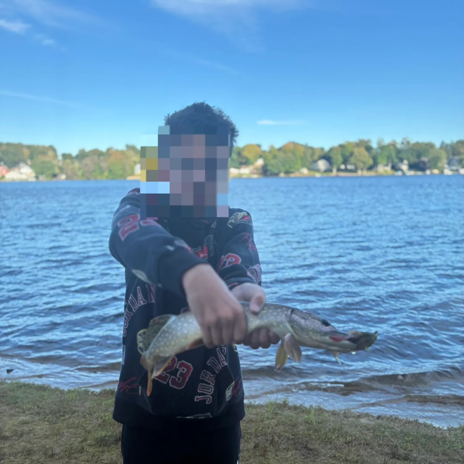 Northern pike caught on Fishbrain