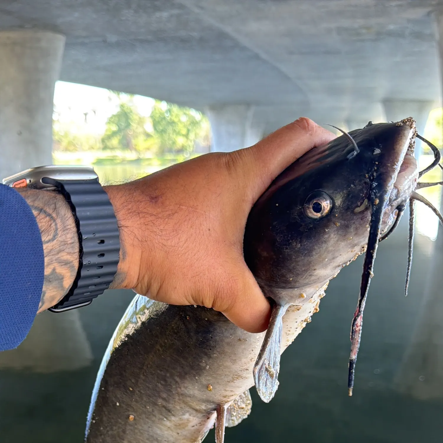 catch