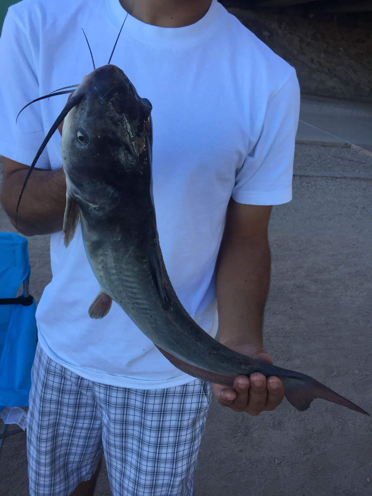 Post image from agomez4975