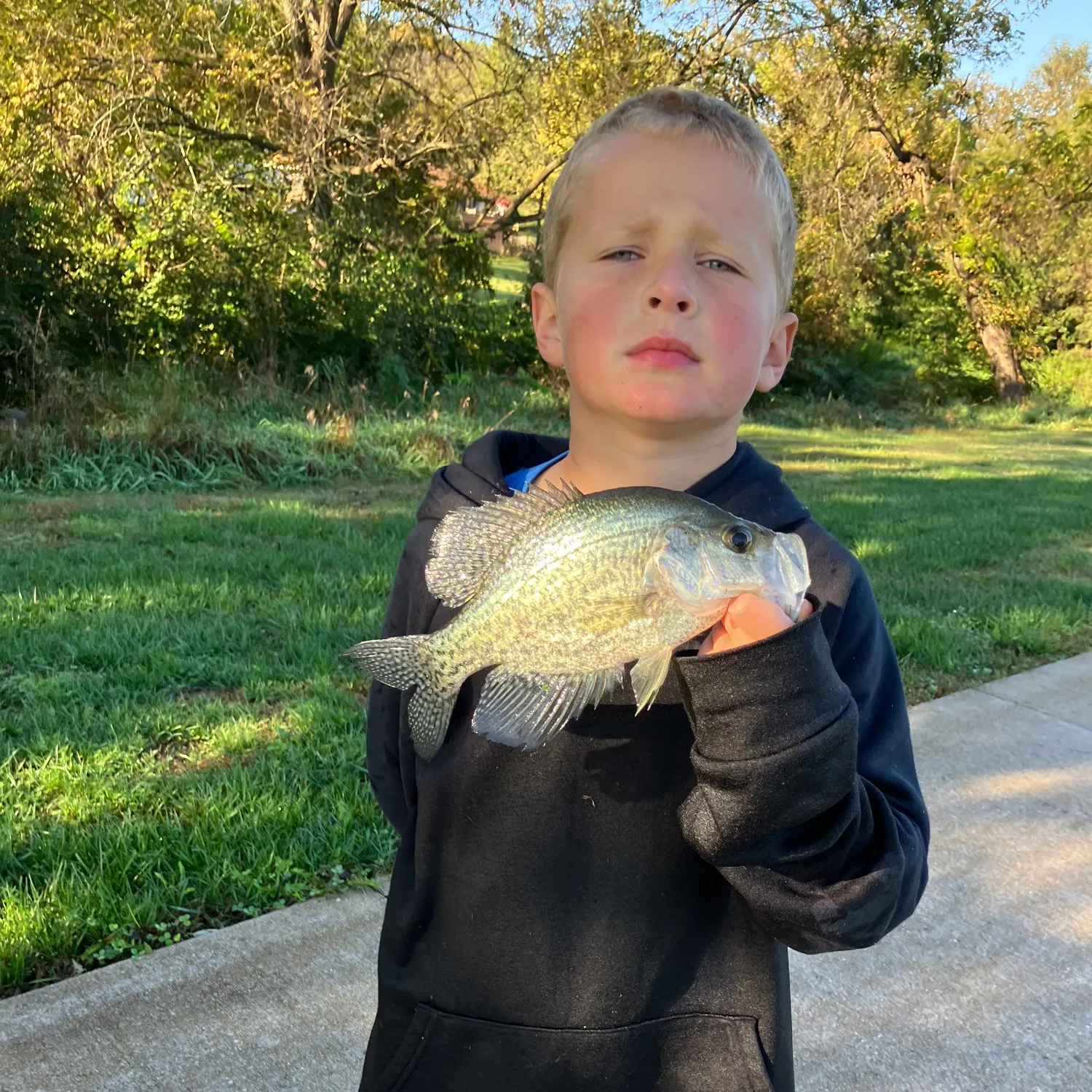 White crappie caught on Fishbrain