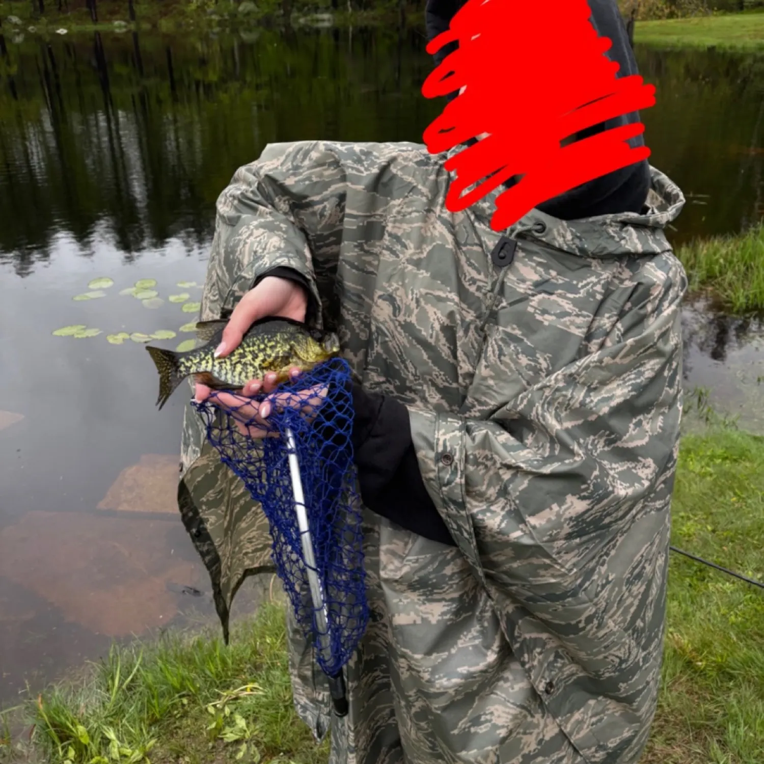 angler catch