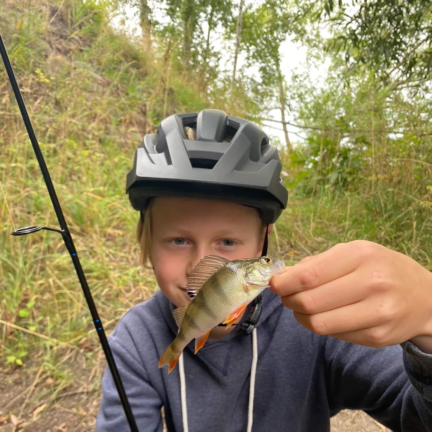 European perch caught on Fishbrain