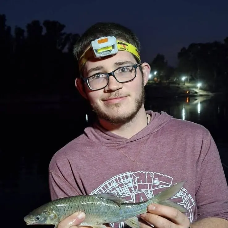 The most recent Largemouth yellowfish catches on Fishbrain