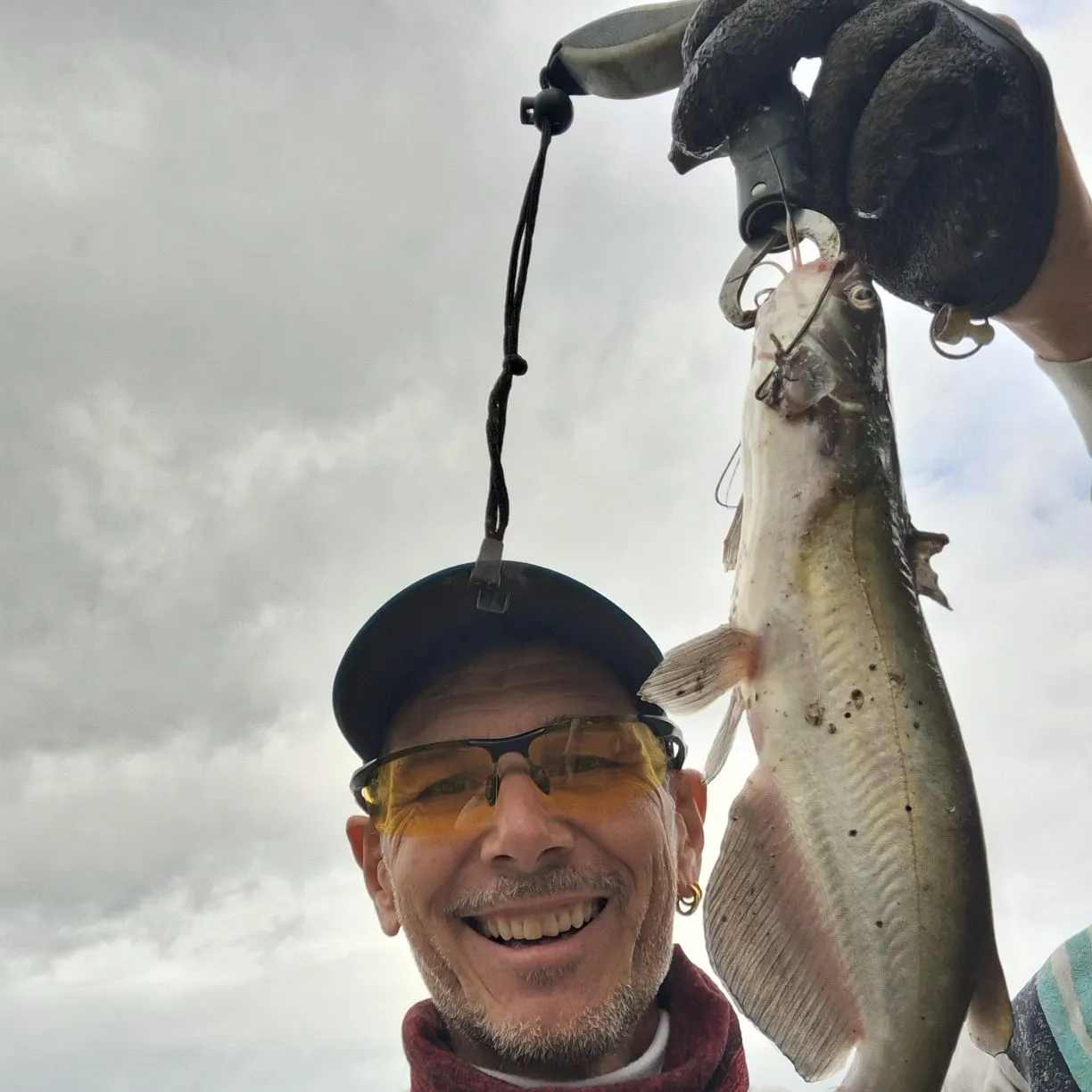 Channel catfish caught on Fishbrain