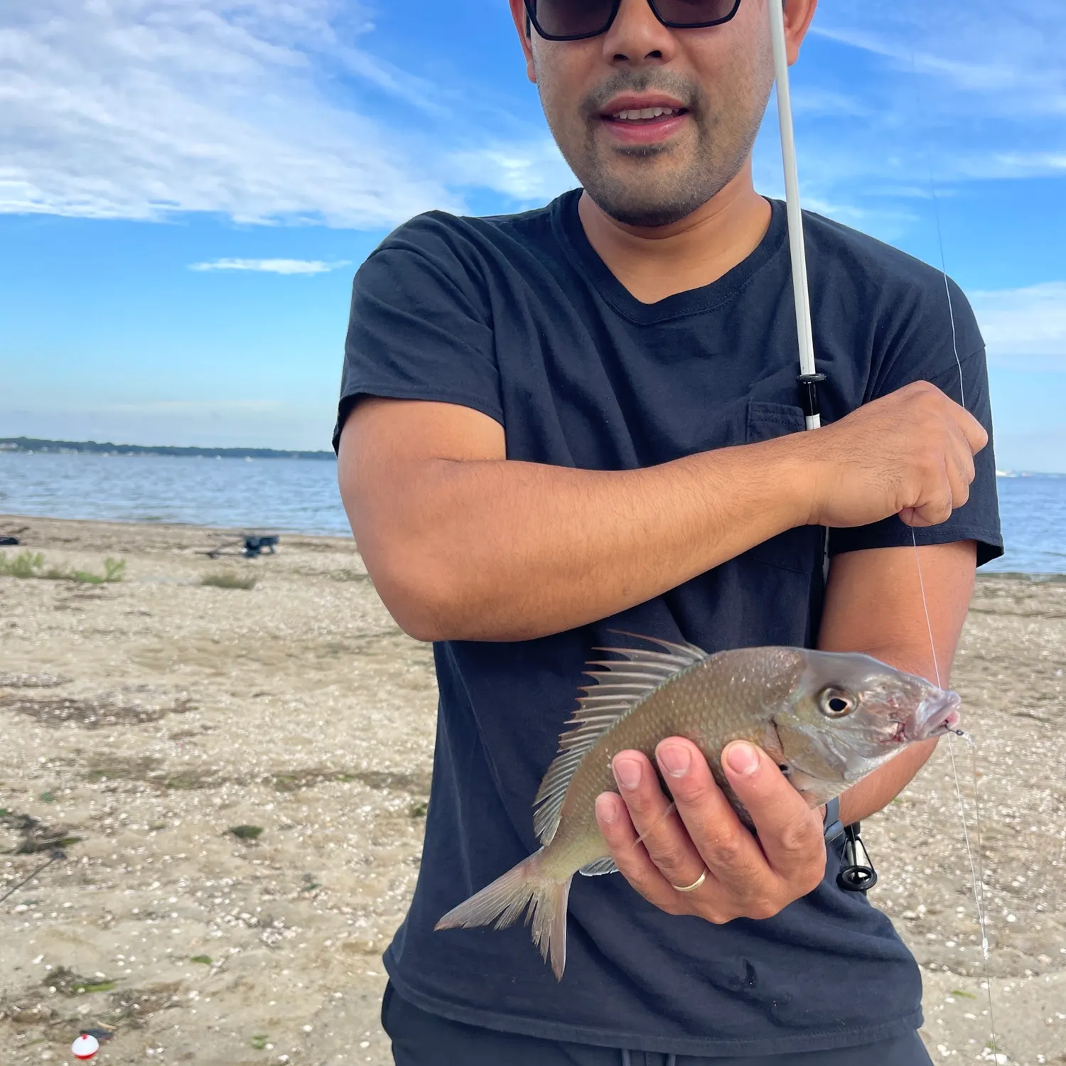 Scup caught on Fishbrain